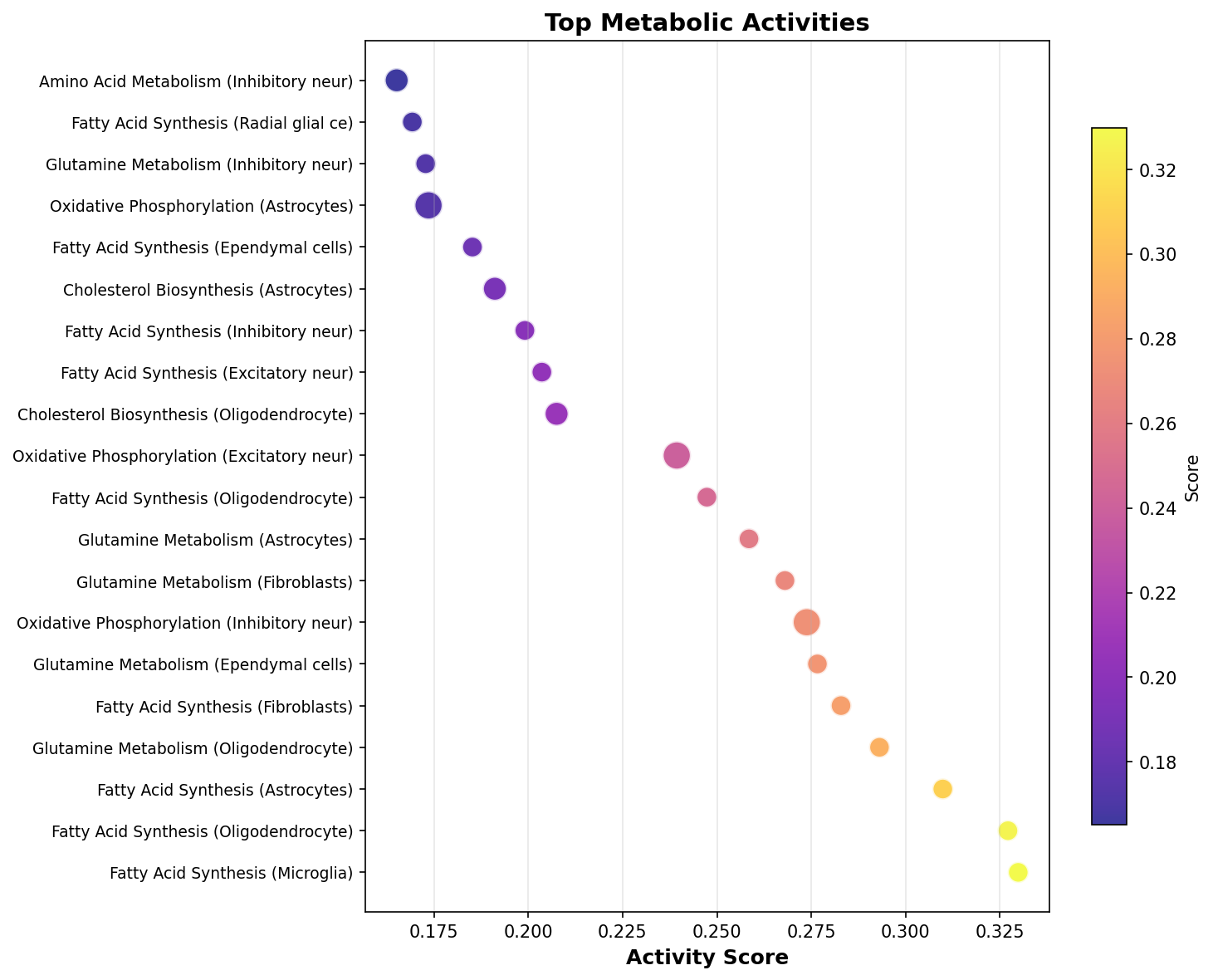 Top Metabolic Activities