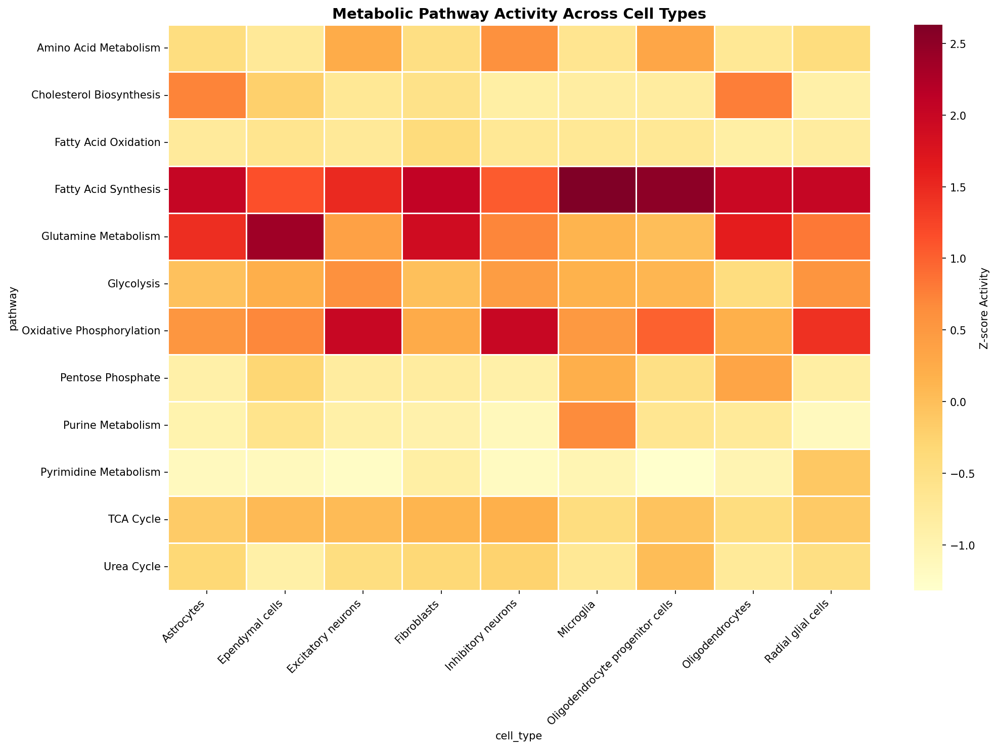 Metabolic Pathway Heatmap