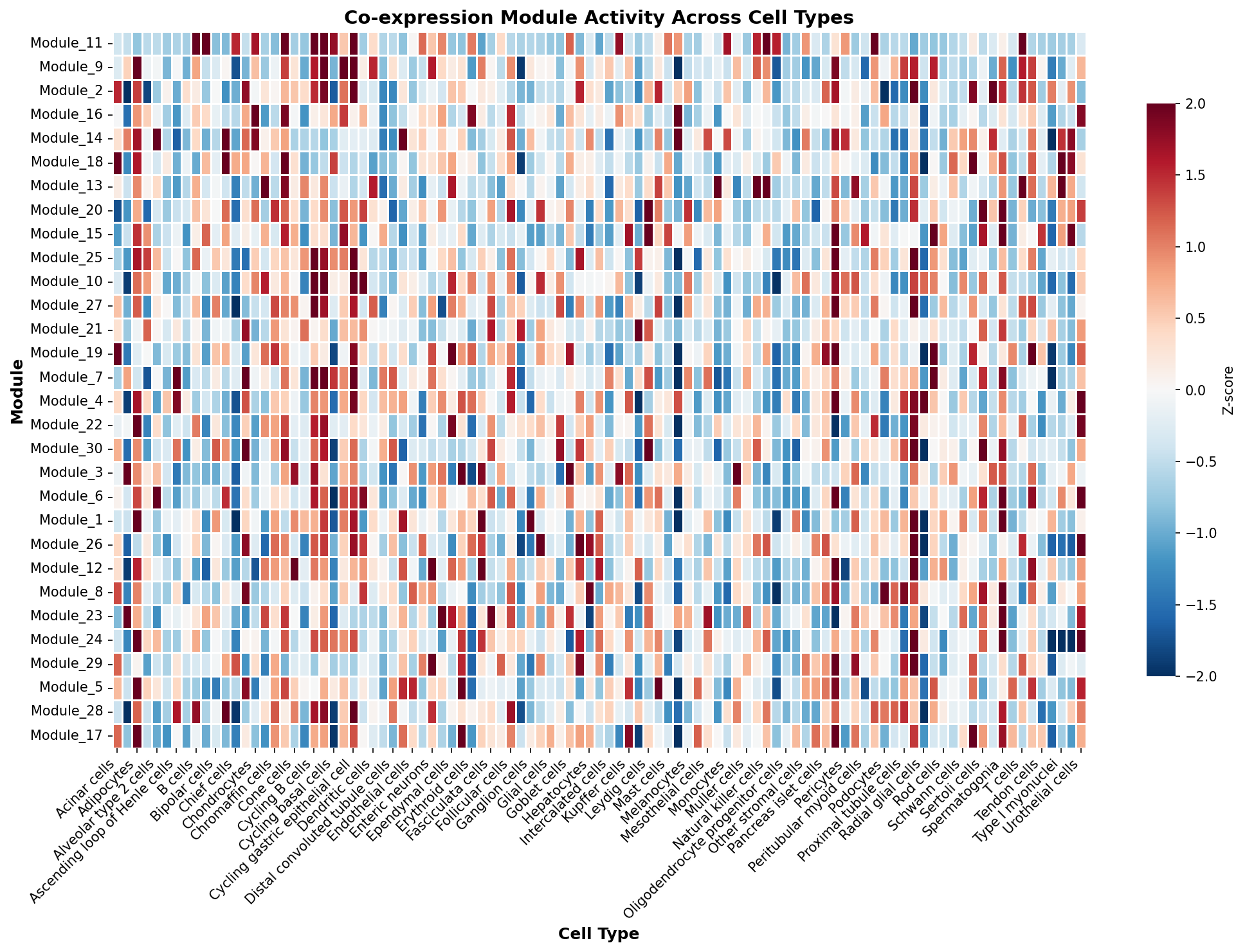 Module-Cell Type Association
