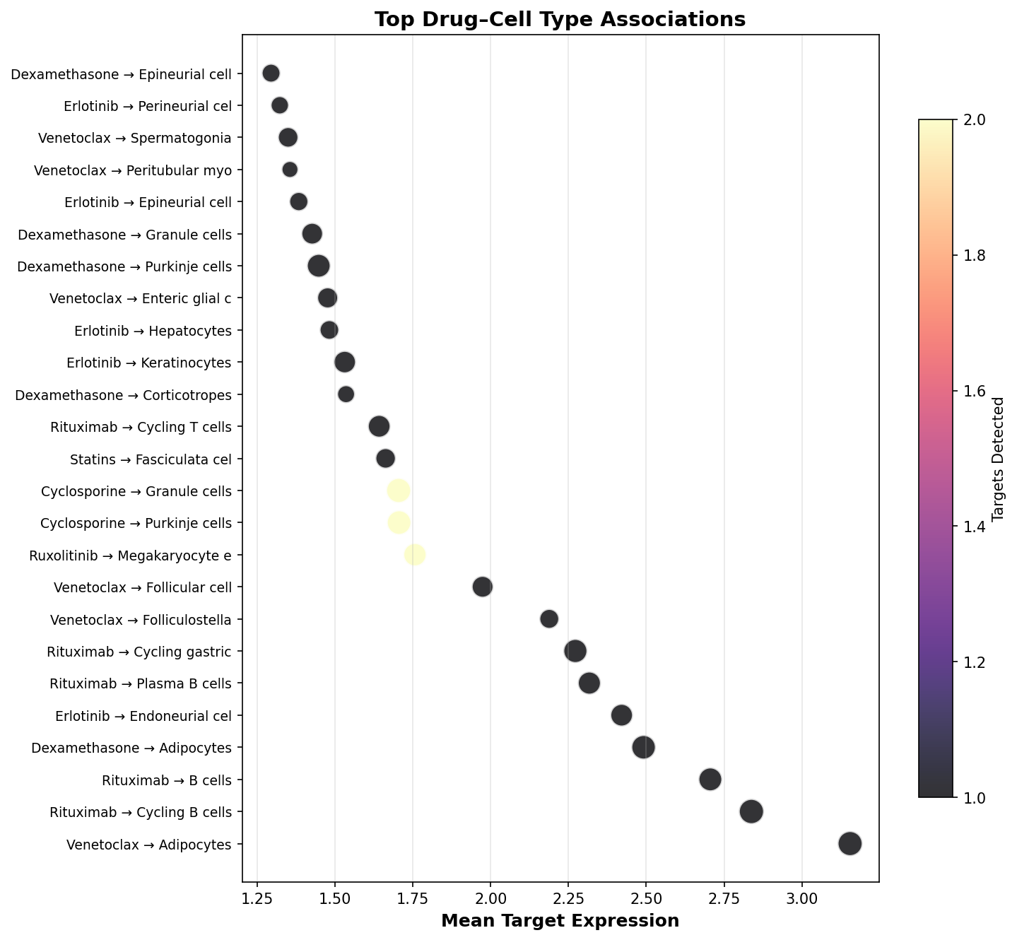 Top Drug–Cell Type Associations