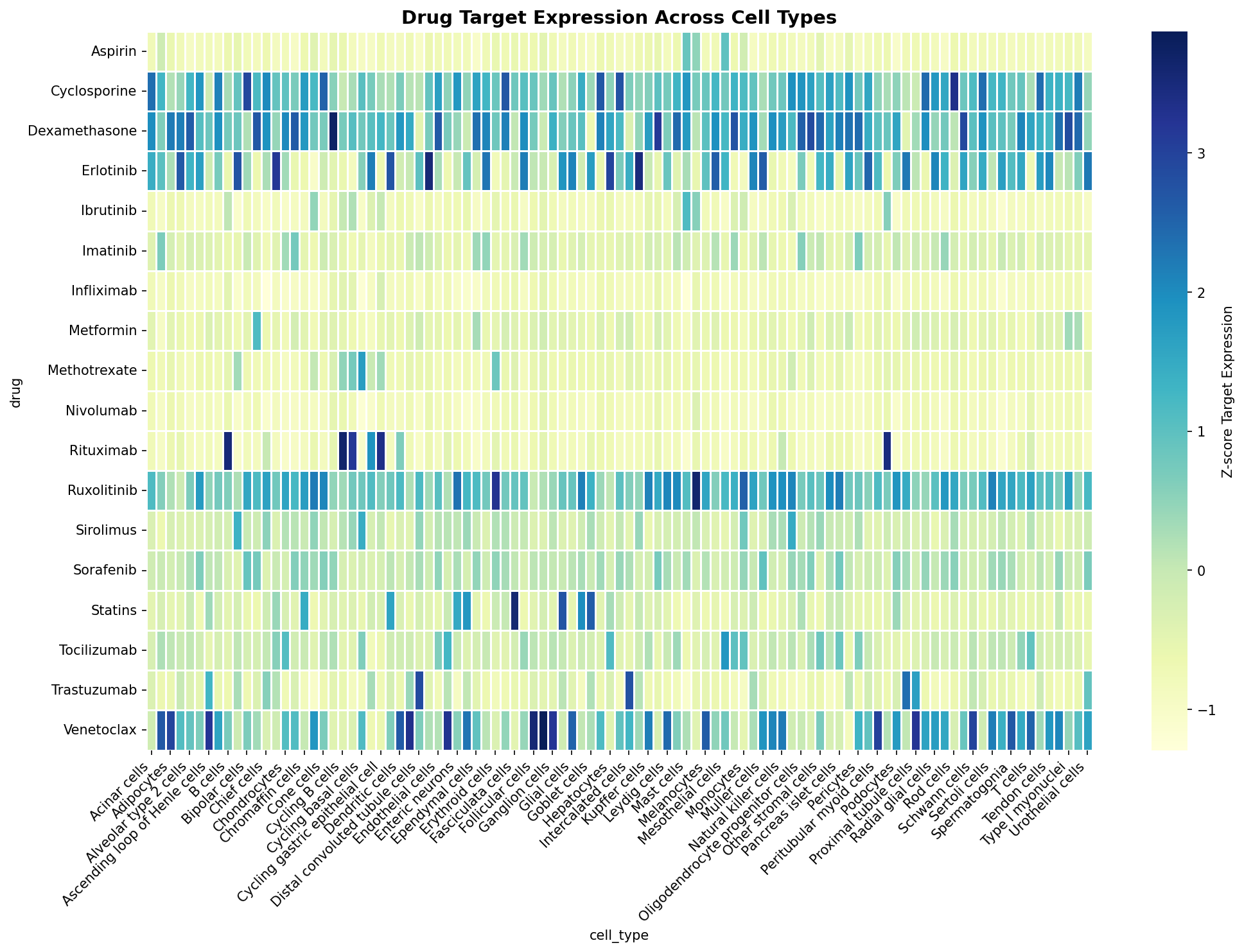 Drug Target Expression Heatmap