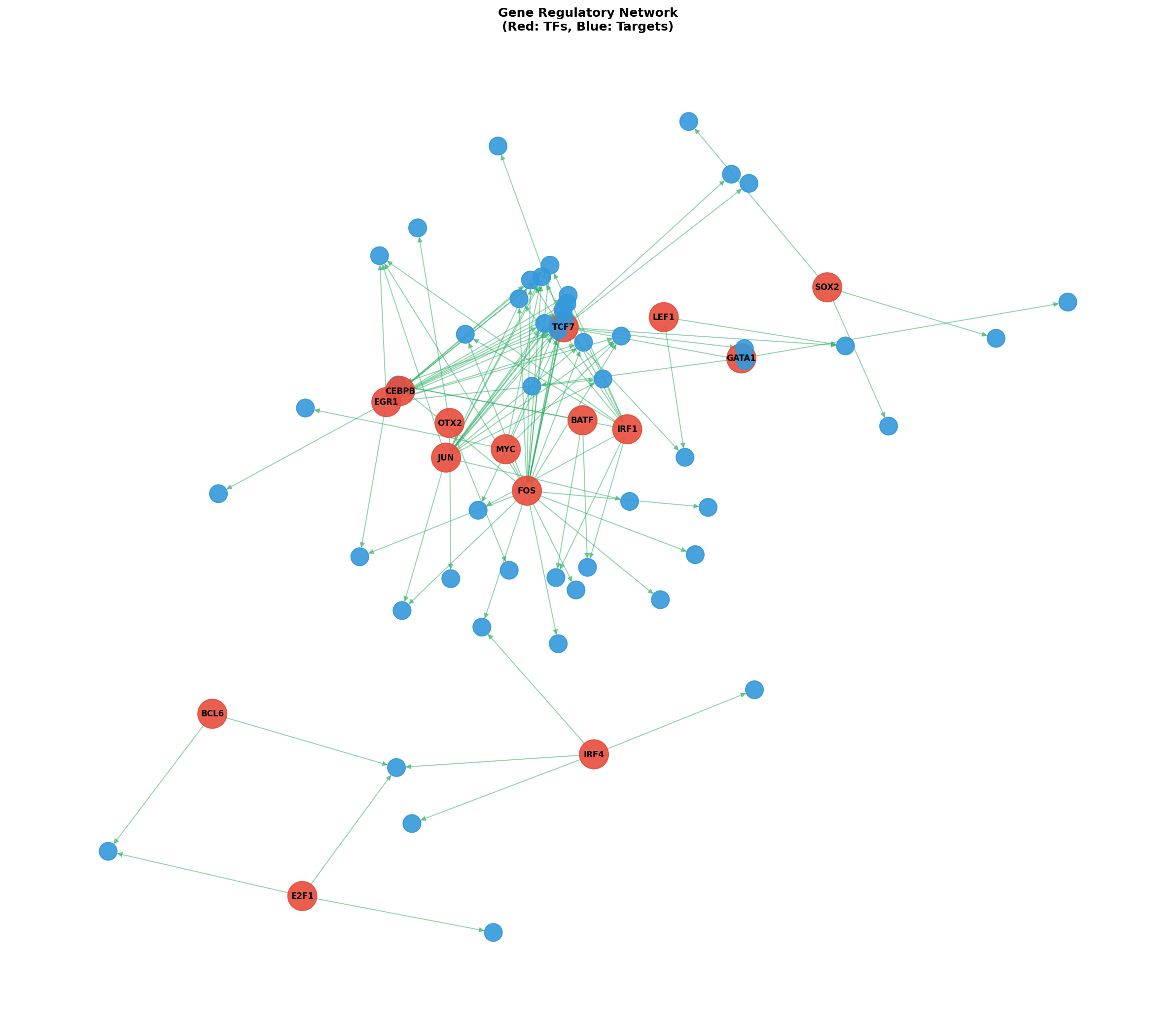 Exploratory TF-Target Association Network