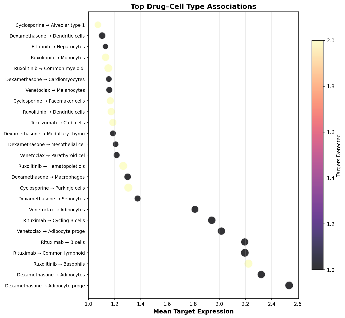 Top Drug–Cell Type Associations