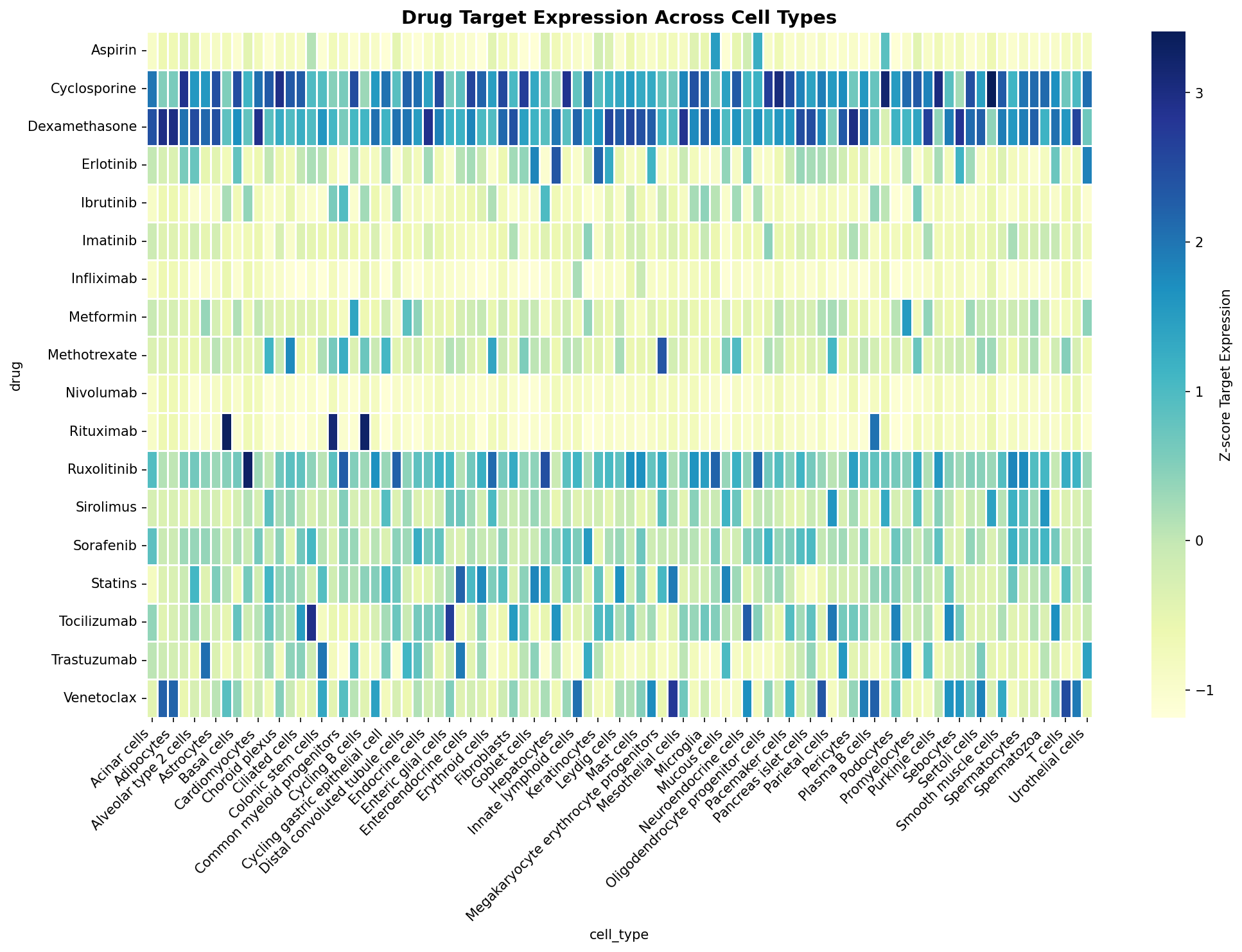 Drug Target Expression Heatmap