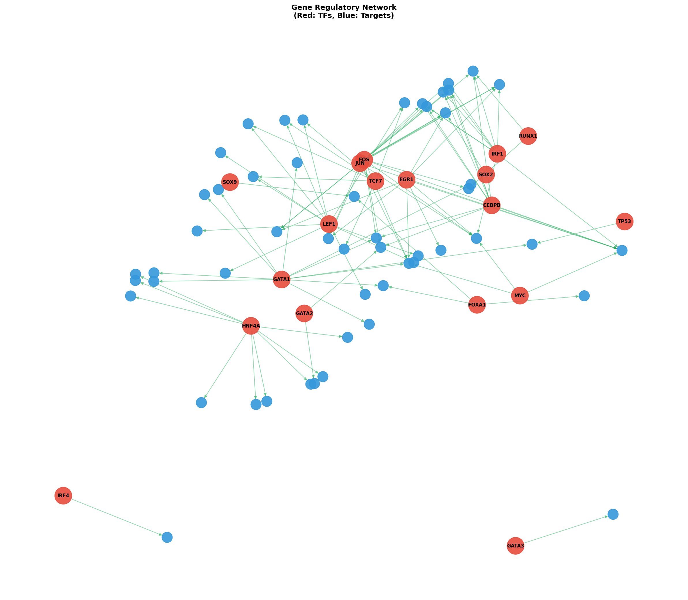 Exploratory TF-Target Association Network