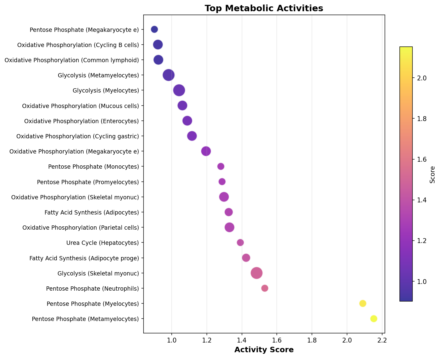 Top Metabolic Activities