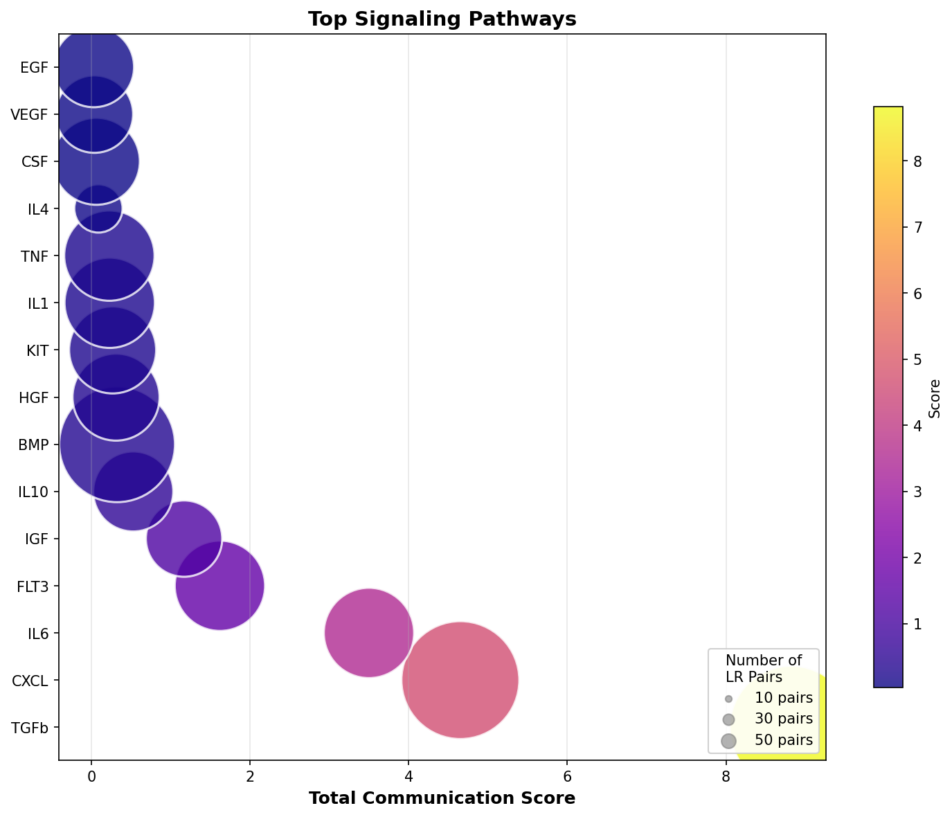 Signaling Pathway Activity