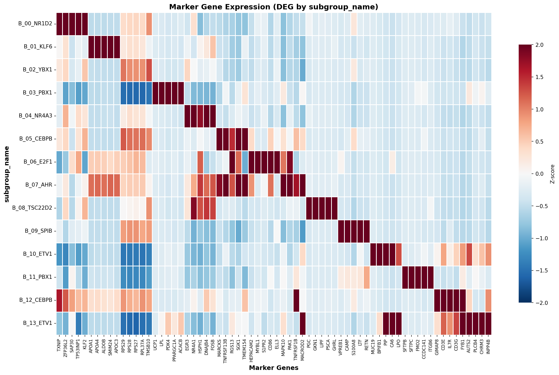 Marker Gene Heatmap