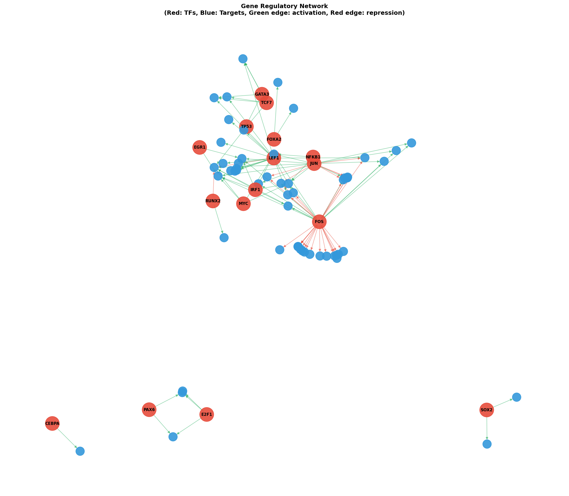 Gene Regulatory Network