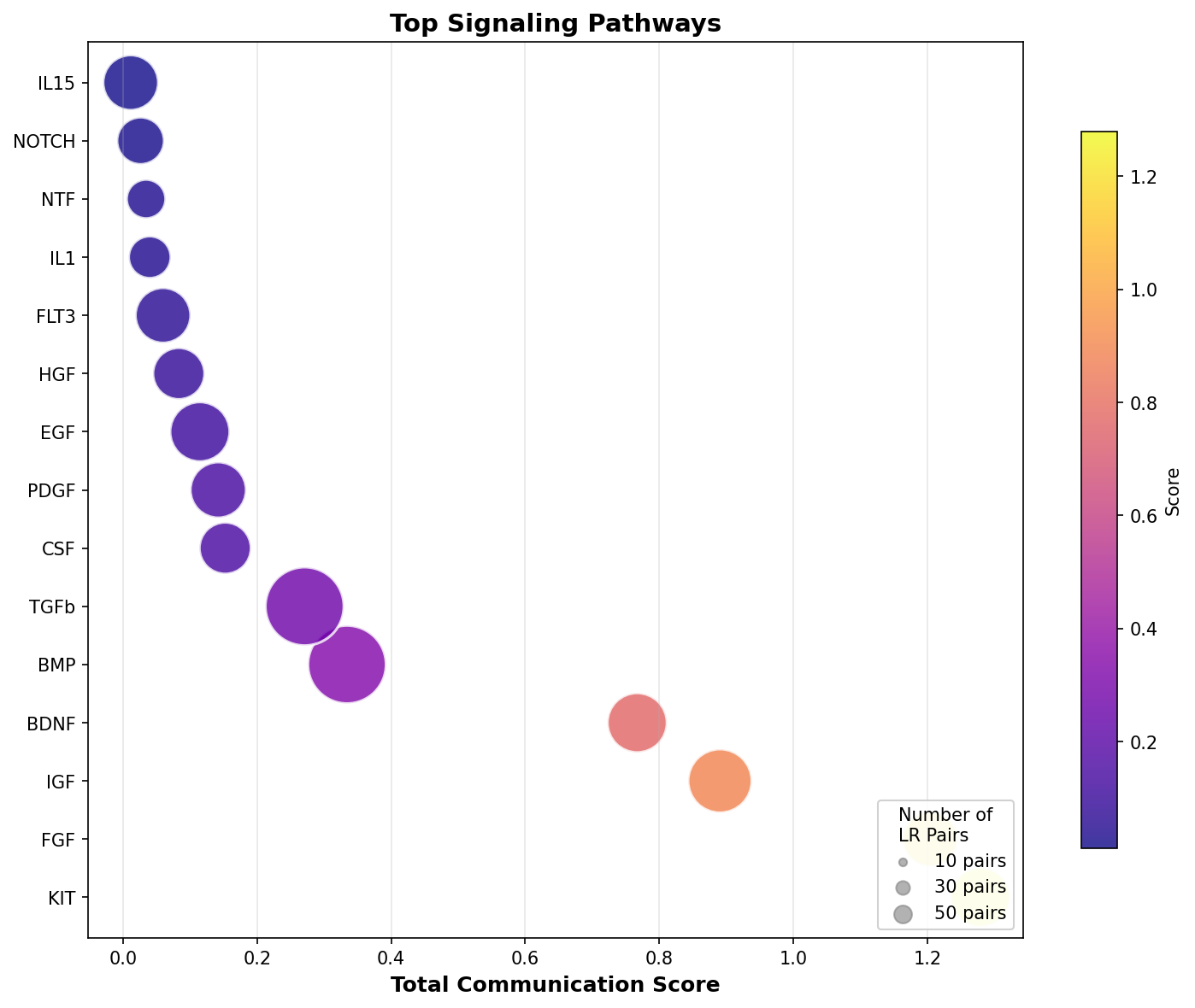 Signaling Pathway Activity