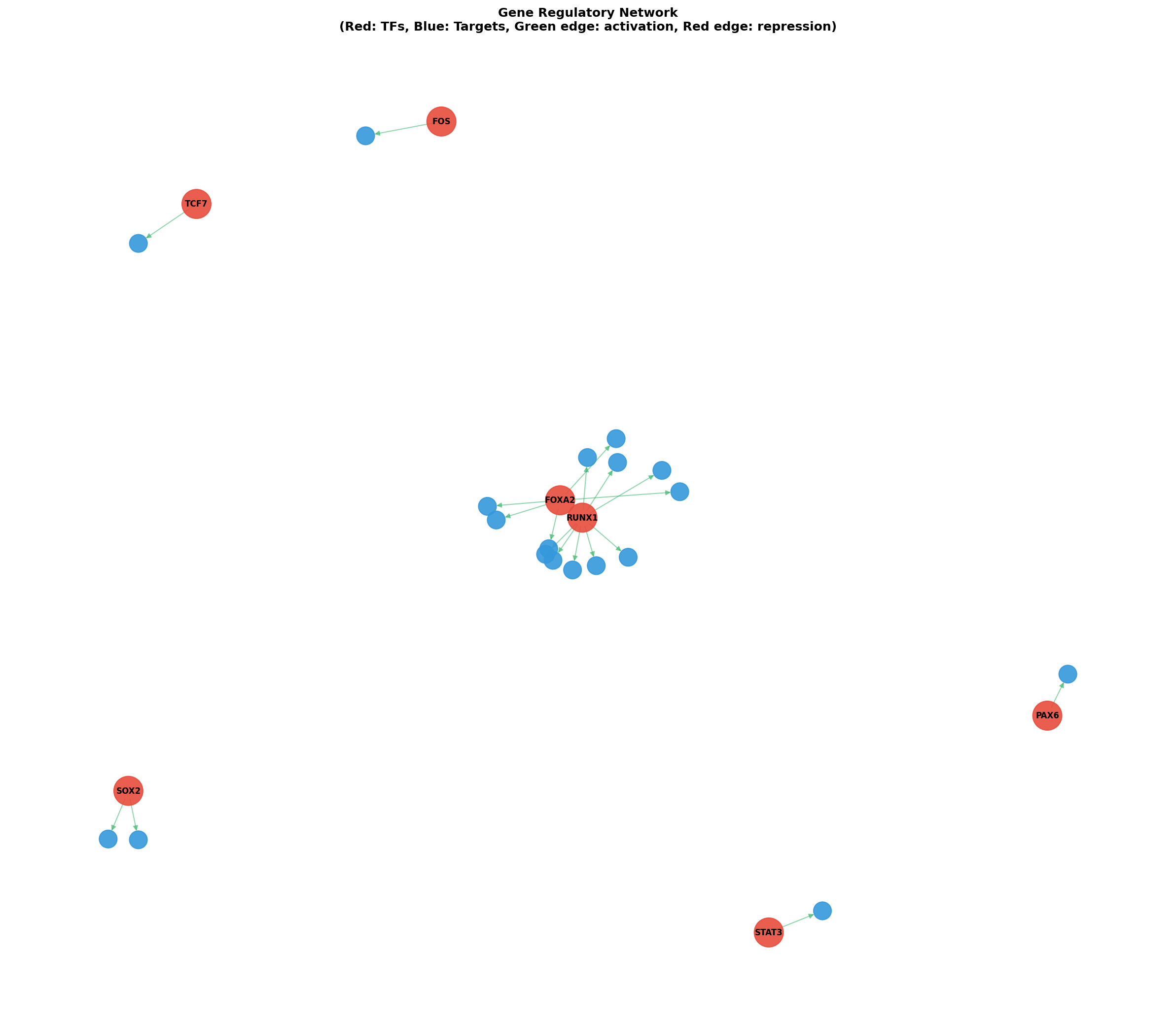 Gene Regulatory Network
