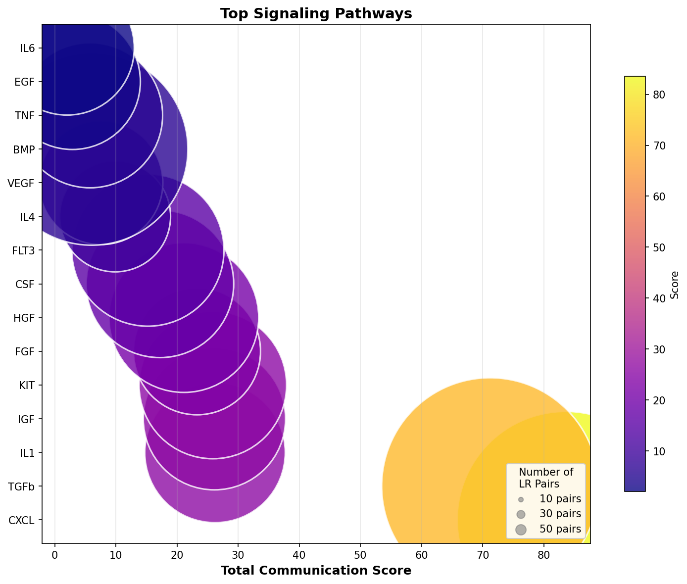 Signaling Pathway Activity