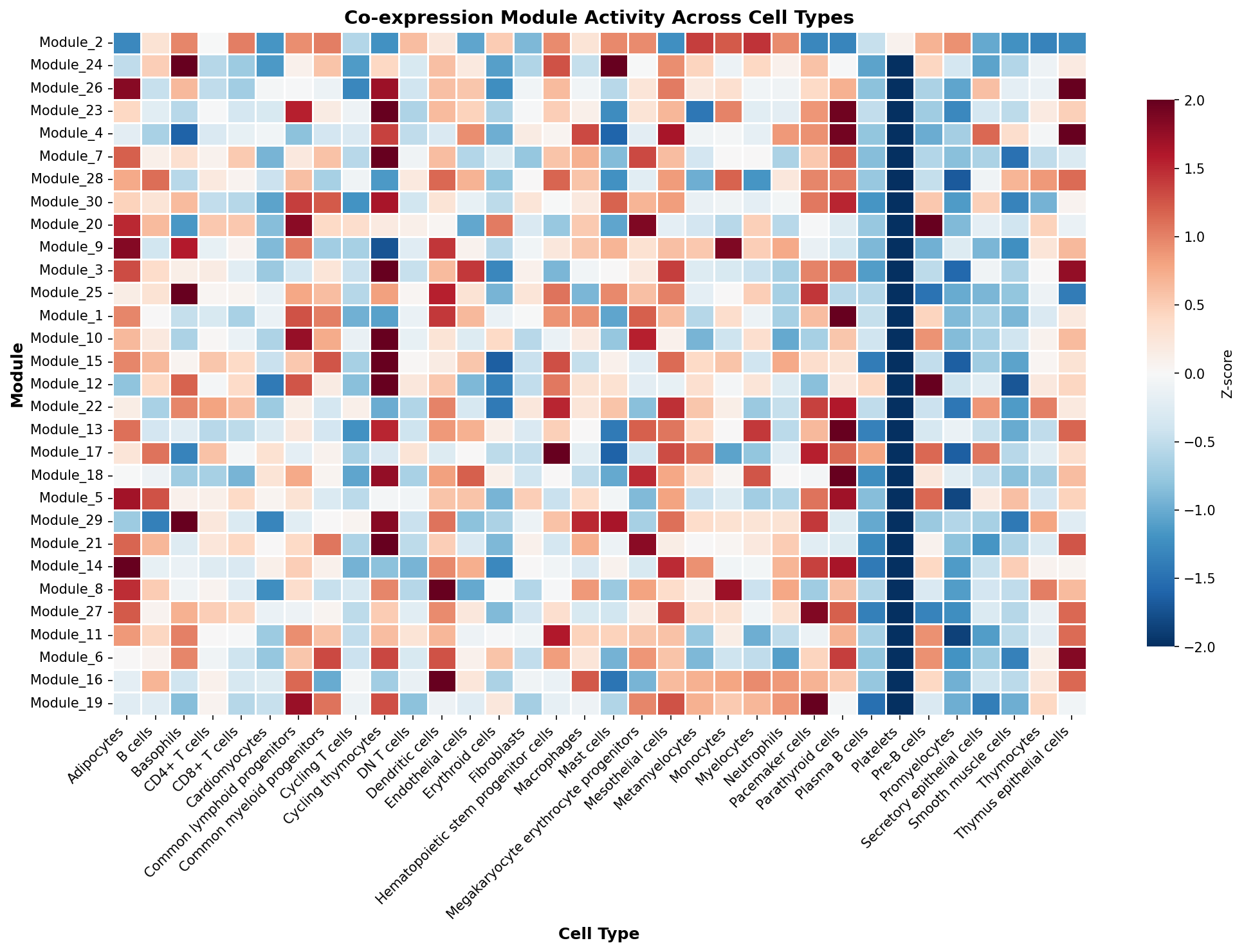 Module-Cell Type Association