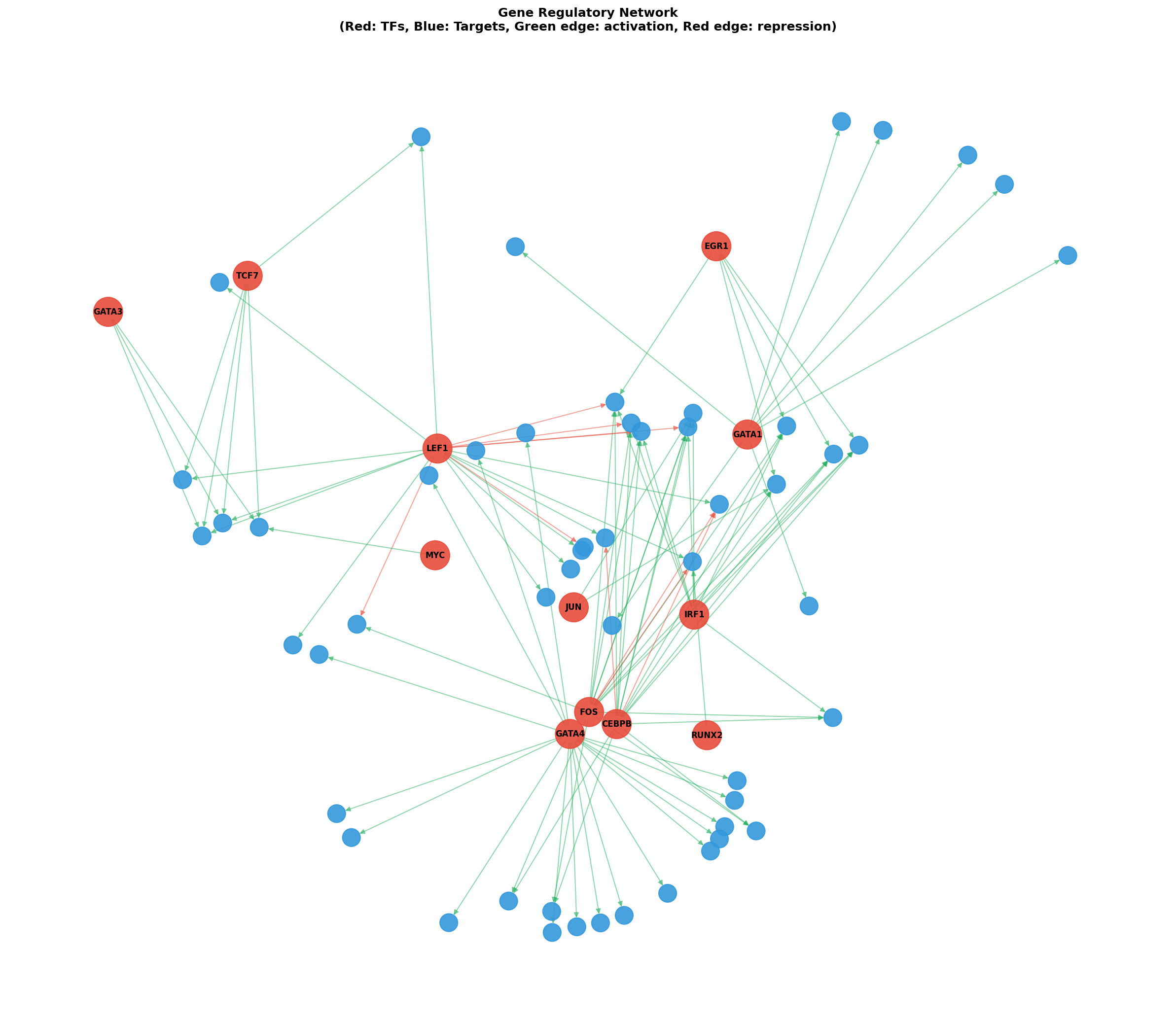 Gene Regulatory Network