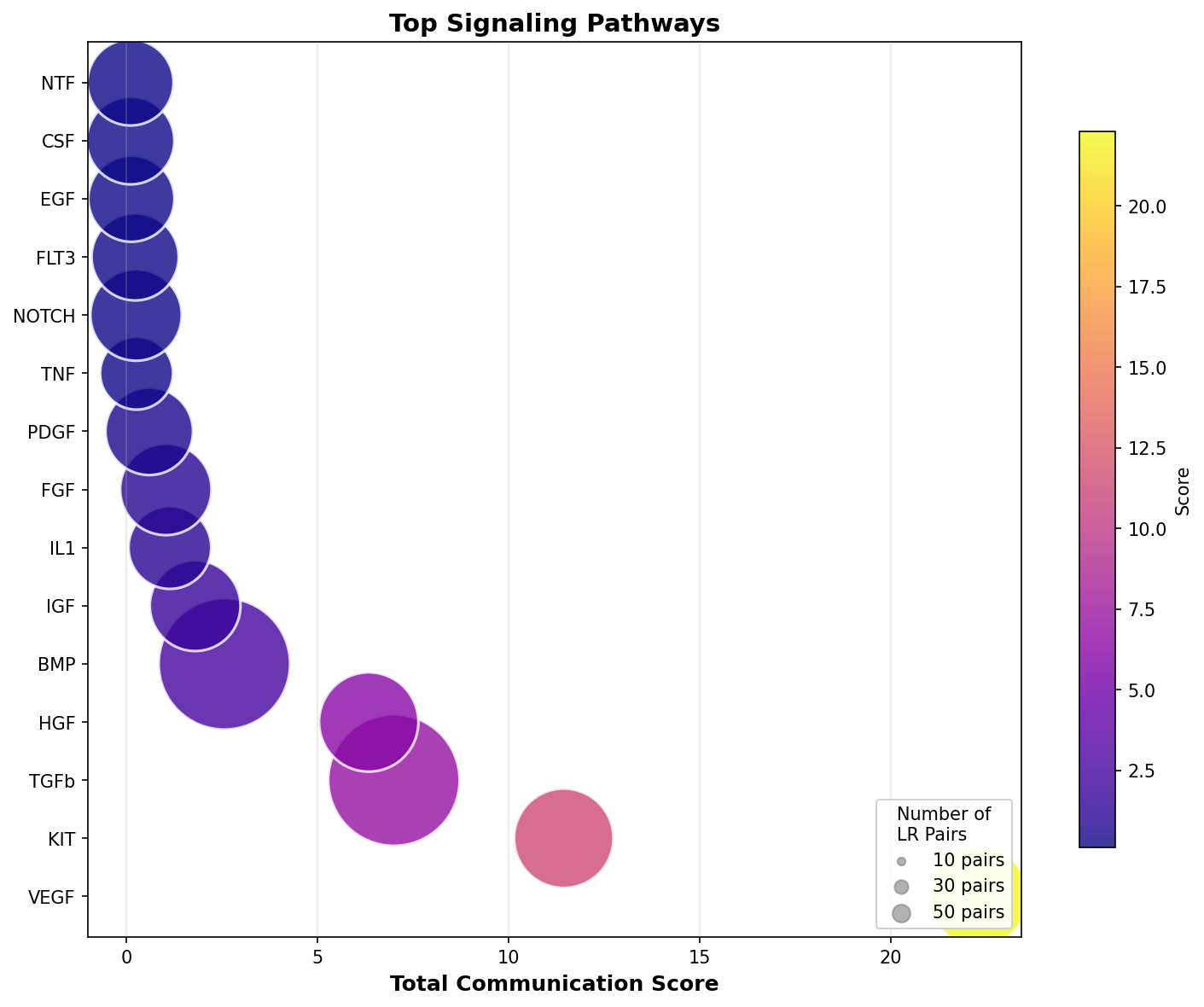 Signaling Pathway Activity