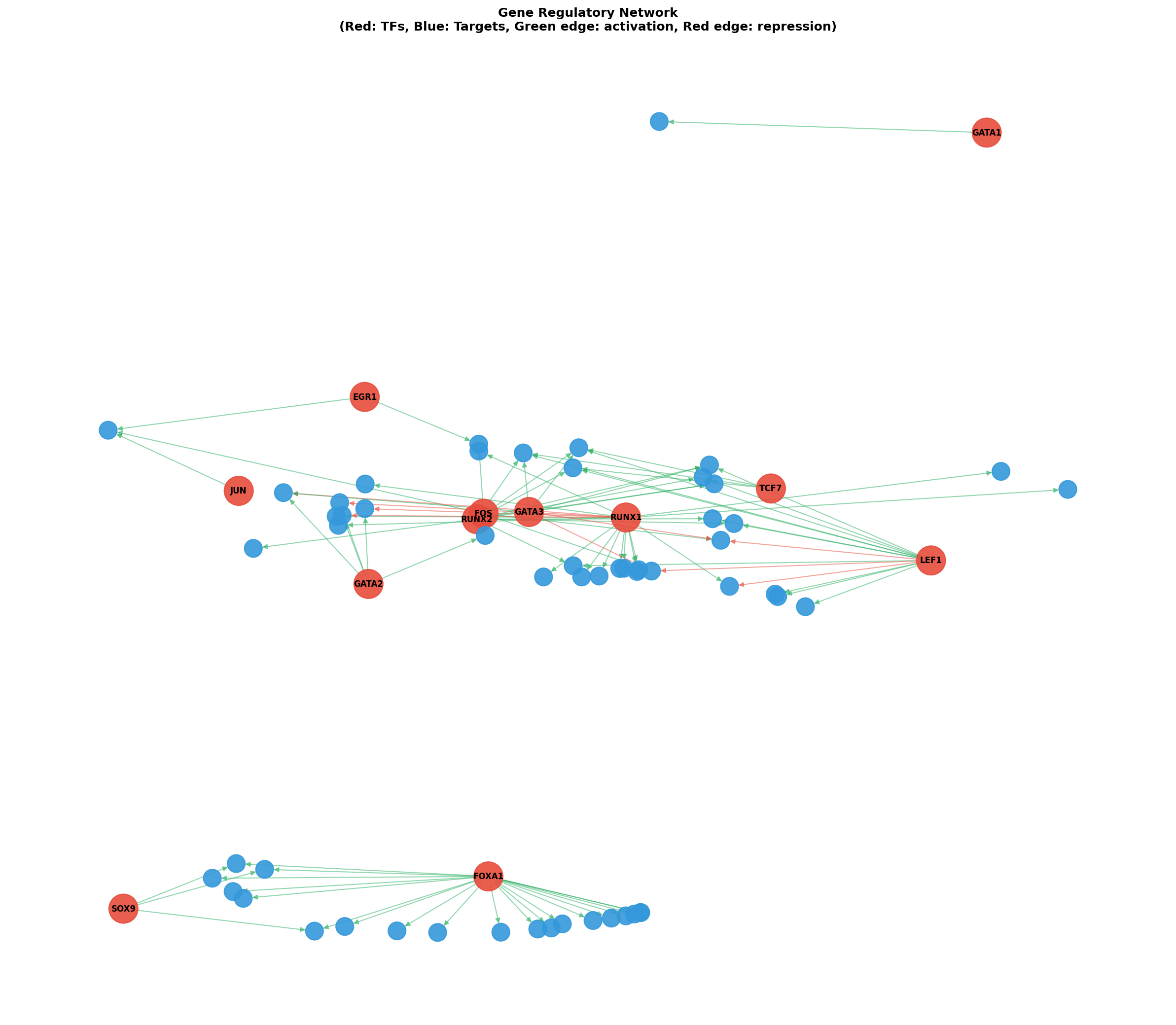 Gene Regulatory Network