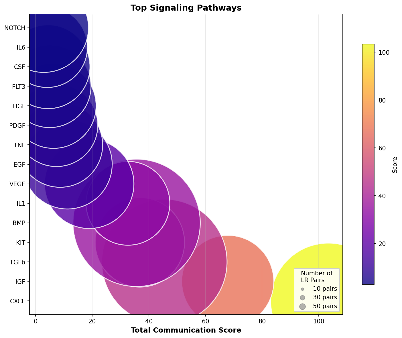 Signaling Pathway Activity