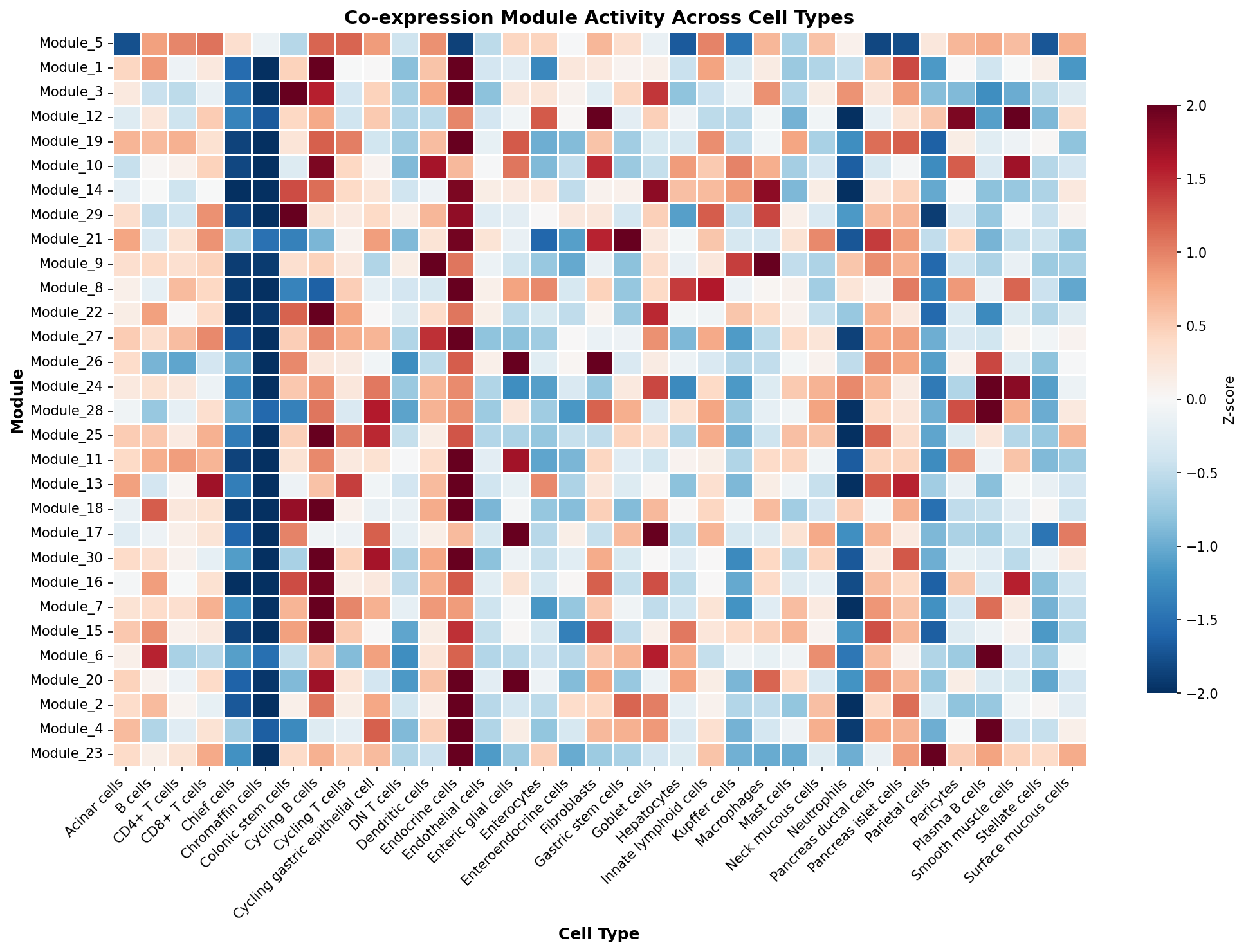 Module-Cell Type Association