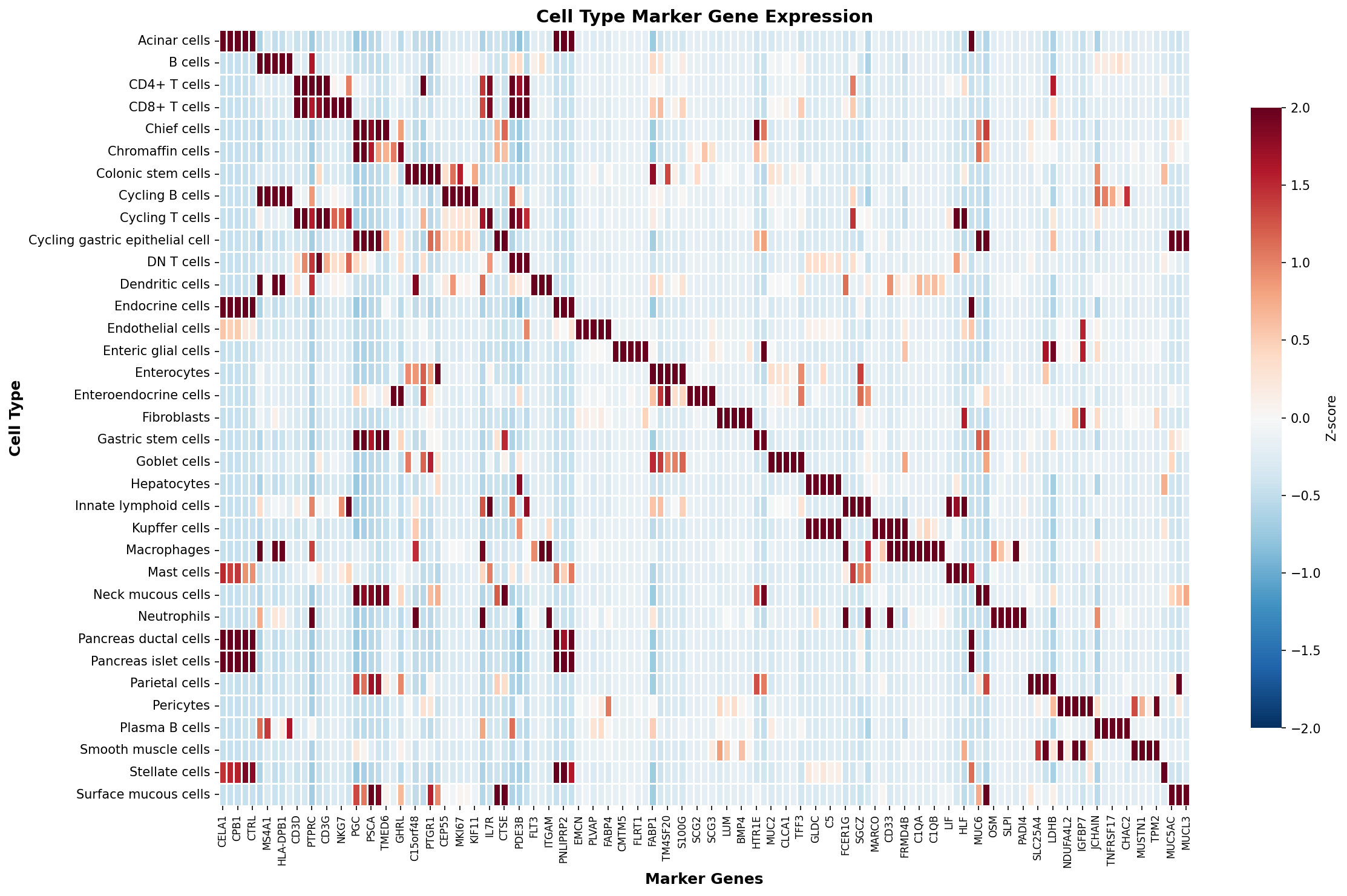 Marker Gene Heatmap