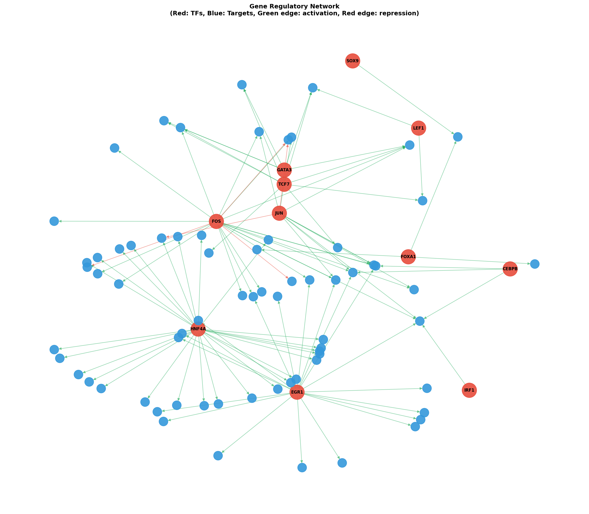 Gene Regulatory Network