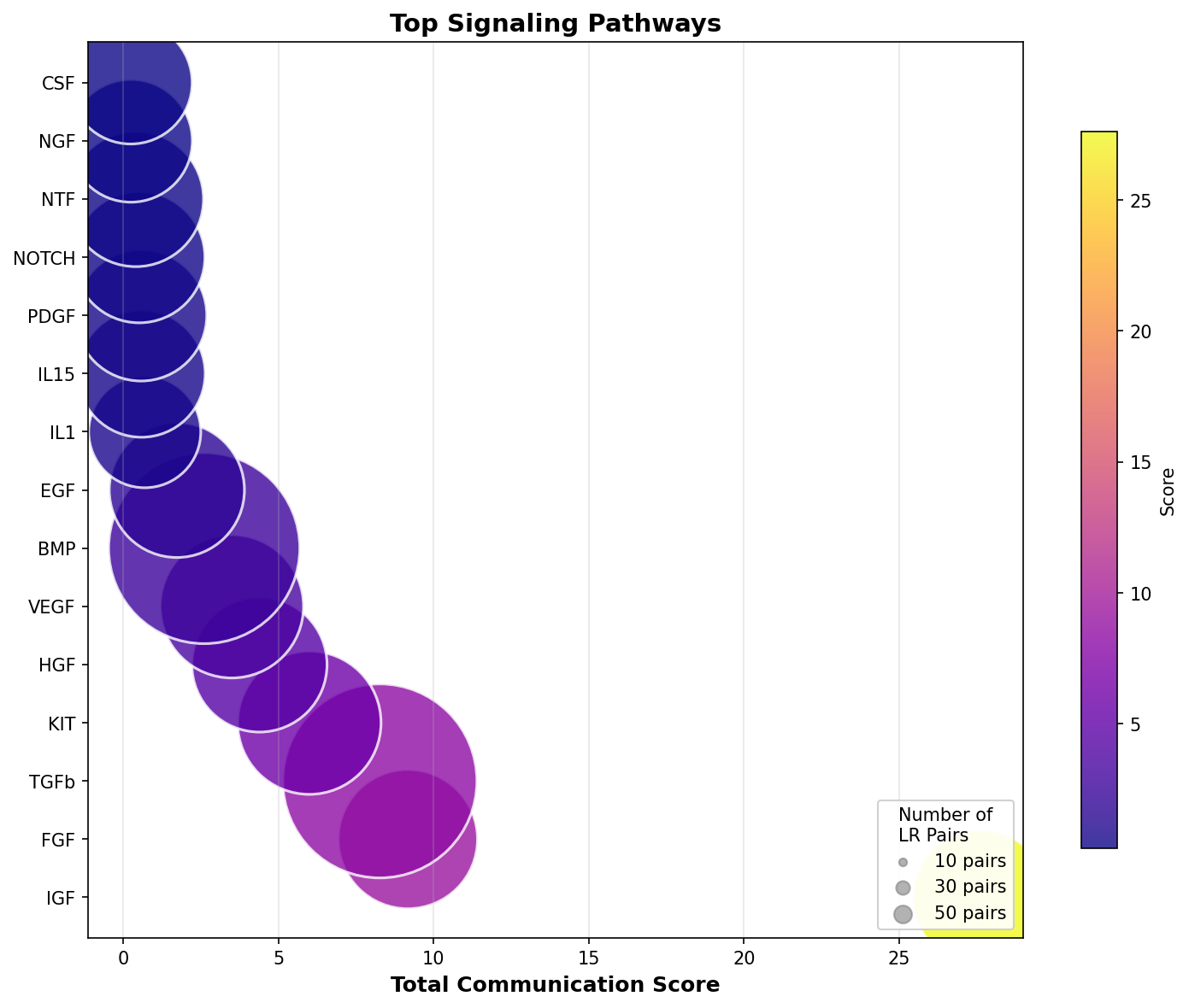 Signaling Pathway Activity