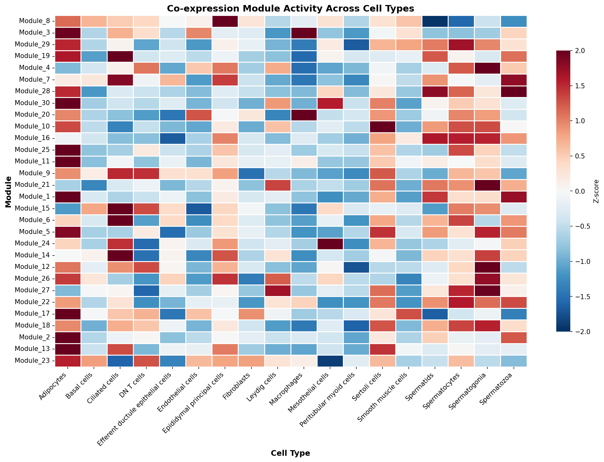 Module-Cell Type Association