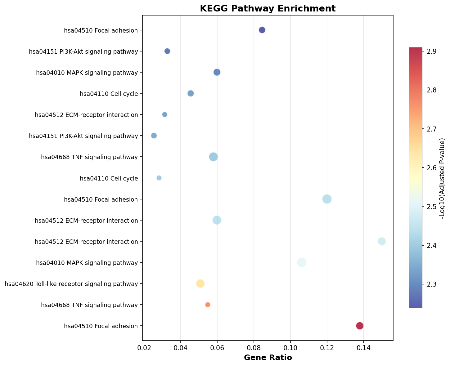 KEGG Enrichment