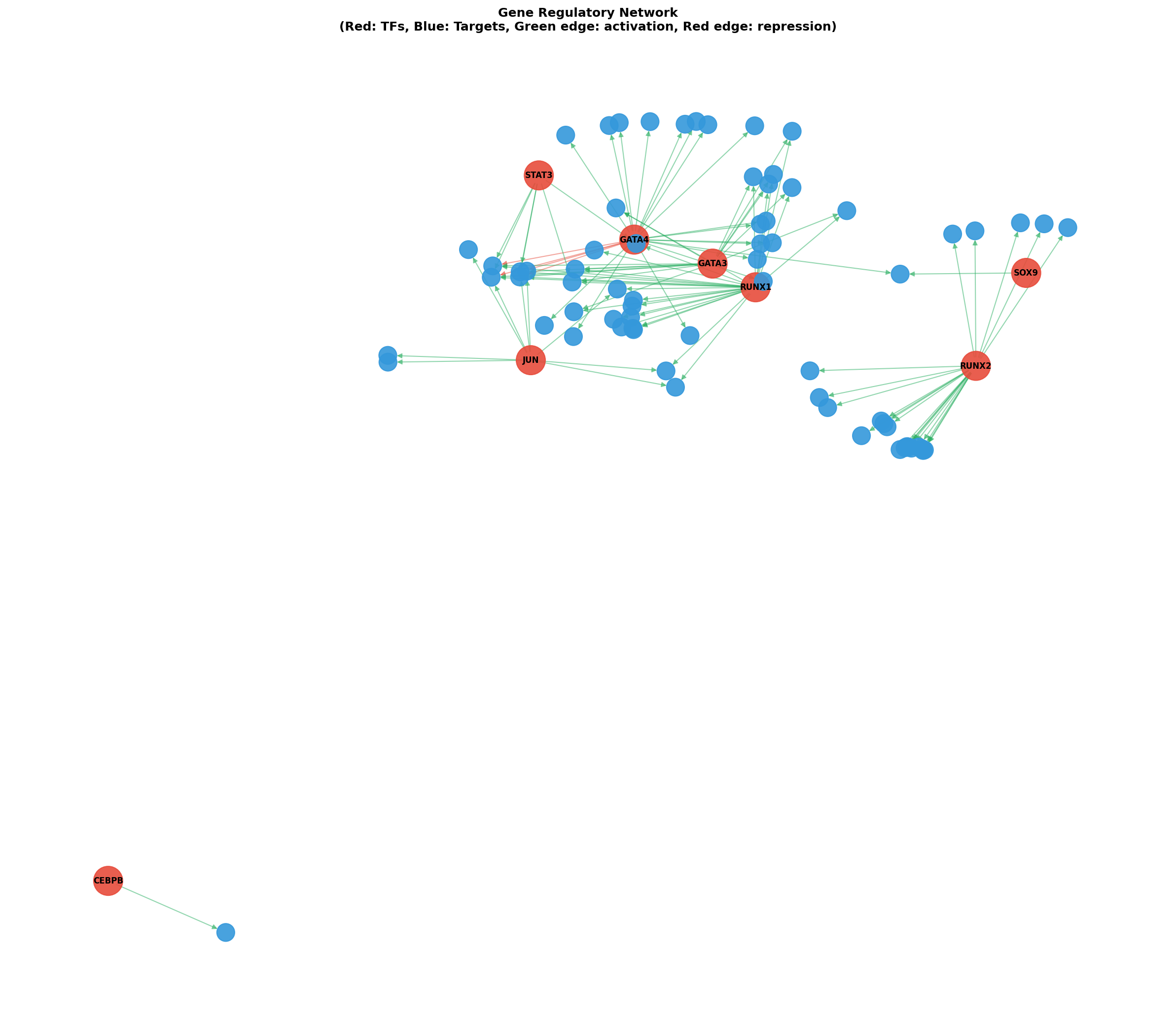 Gene Regulatory Network