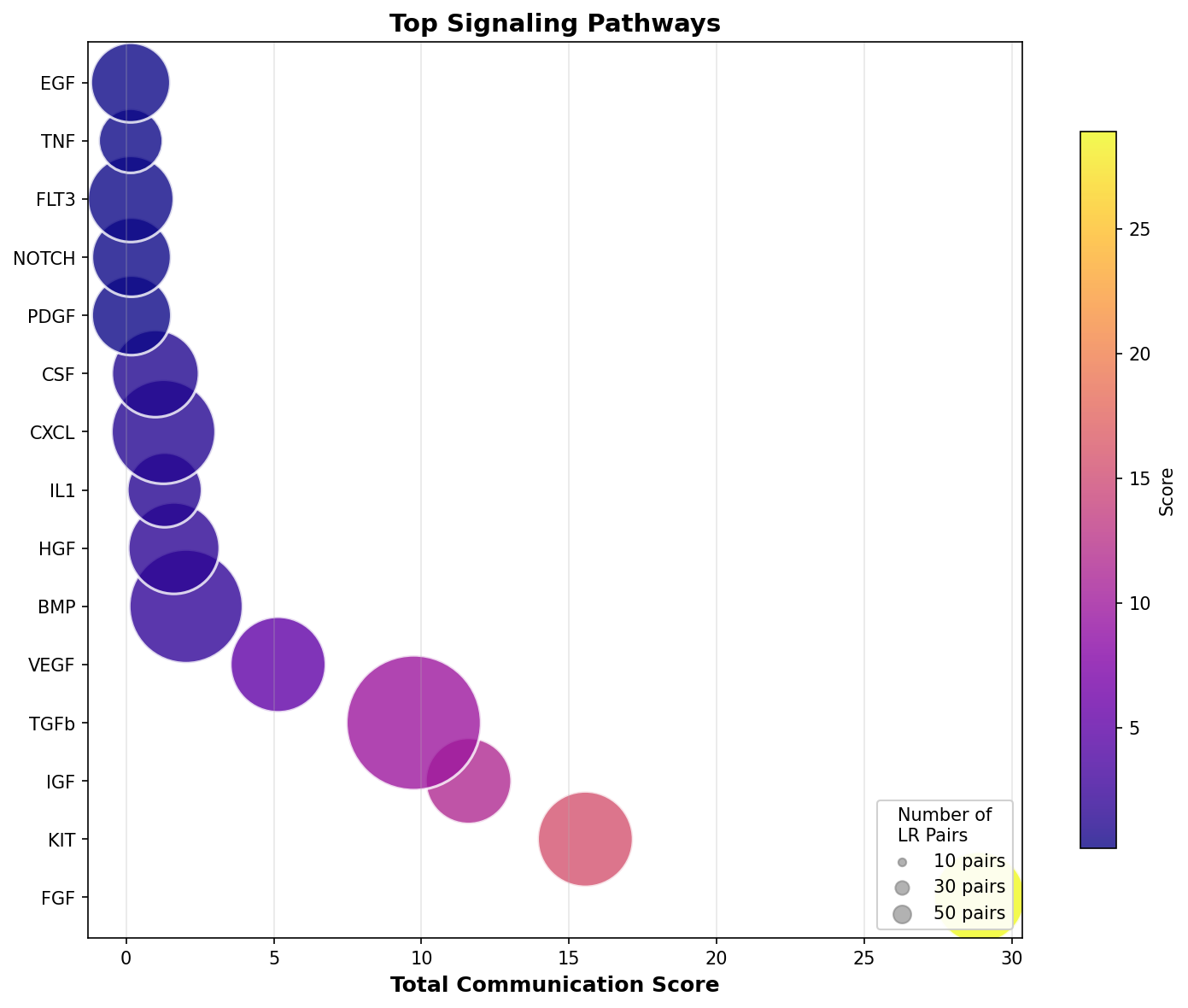 Signaling Pathway Activity