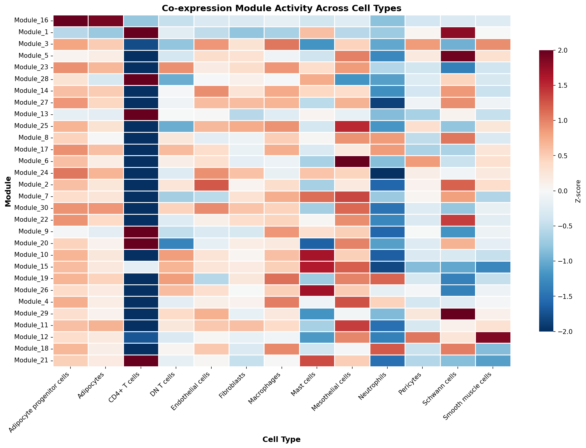 Module-Cell Type Association