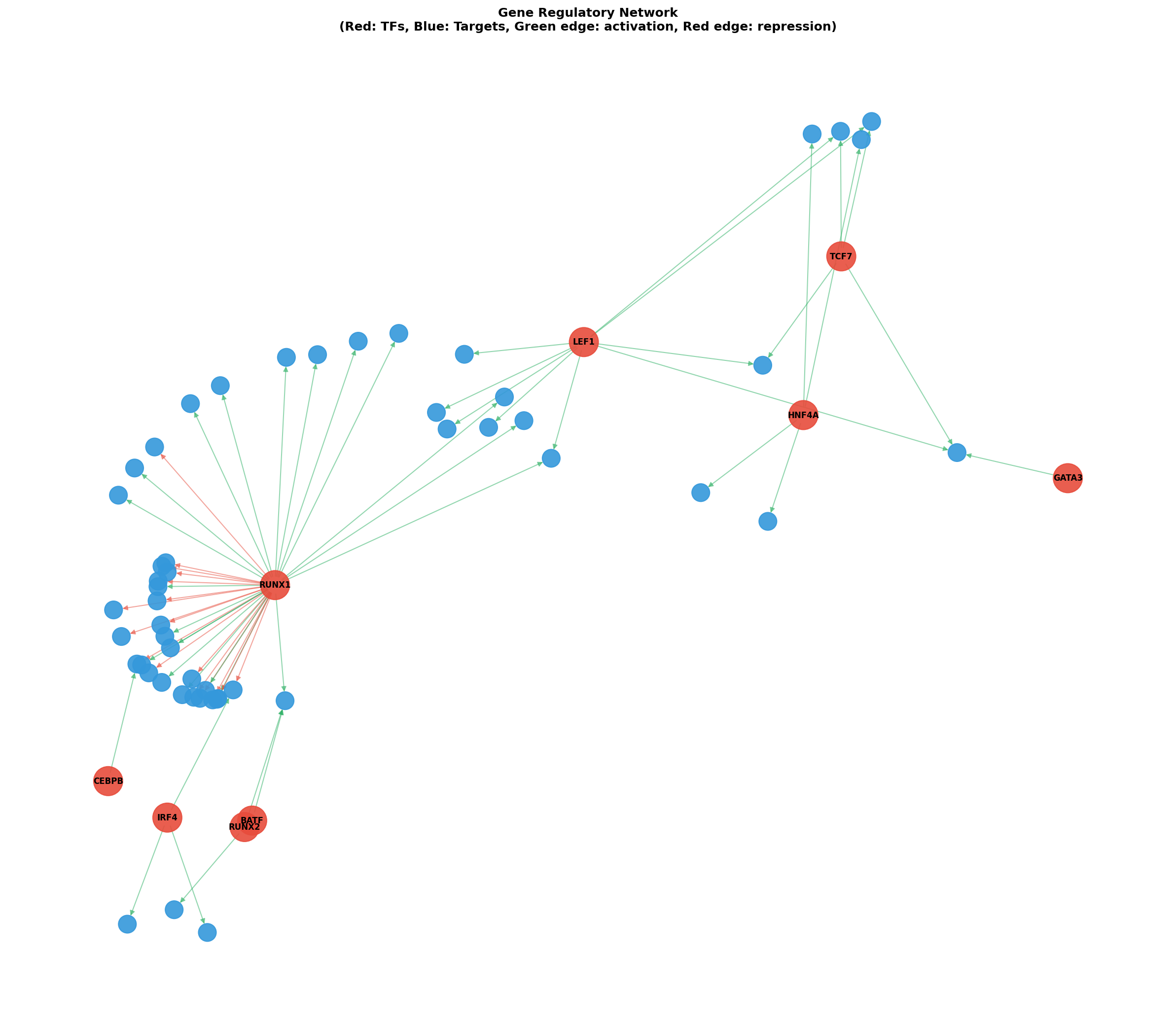 Gene Regulatory Network