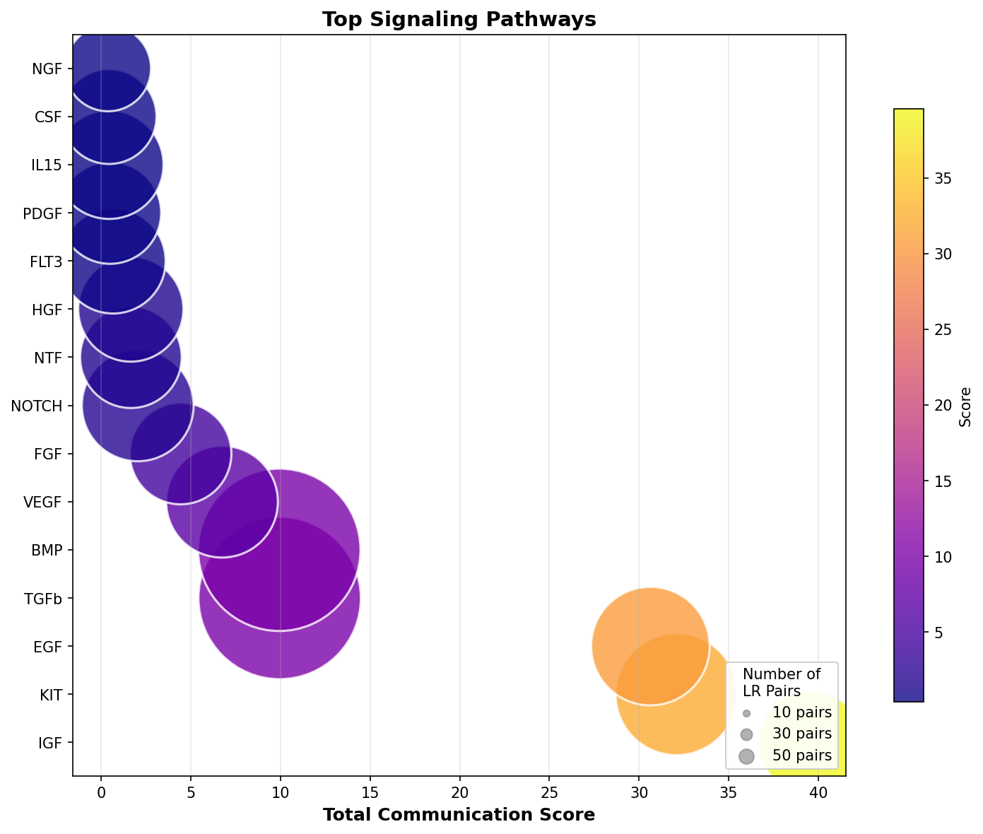 Signaling Pathway Activity