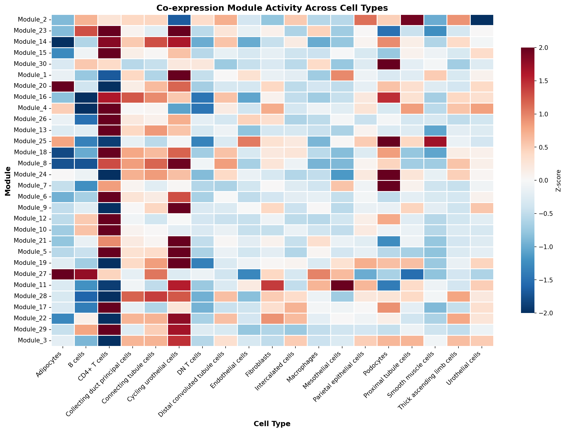 Module-Cell Type Association
