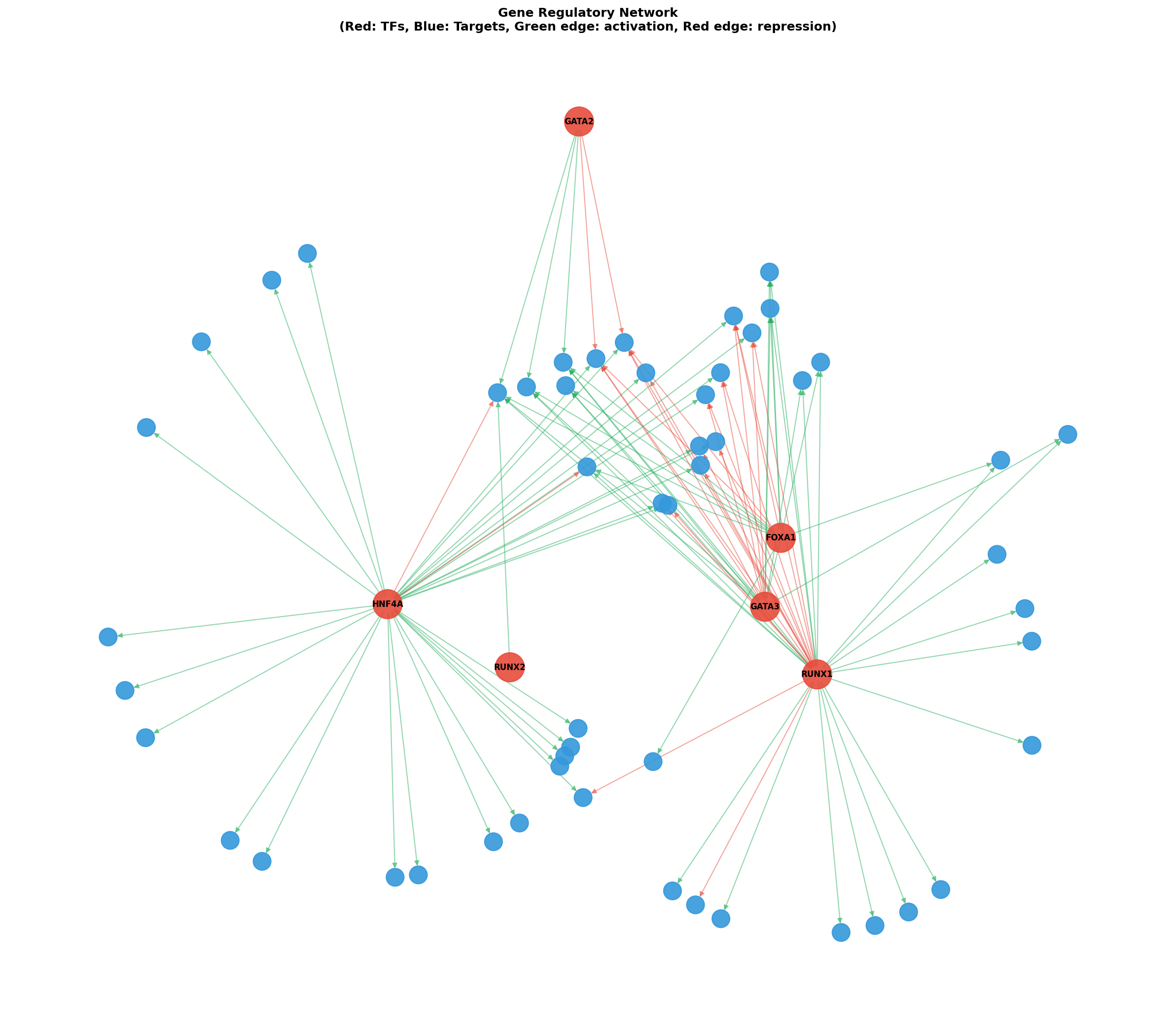 Gene Regulatory Network