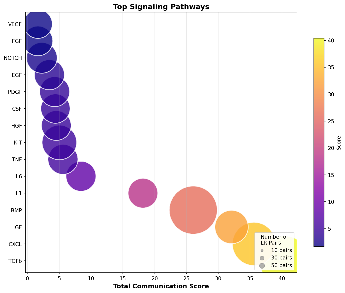 Signaling Pathway Activity