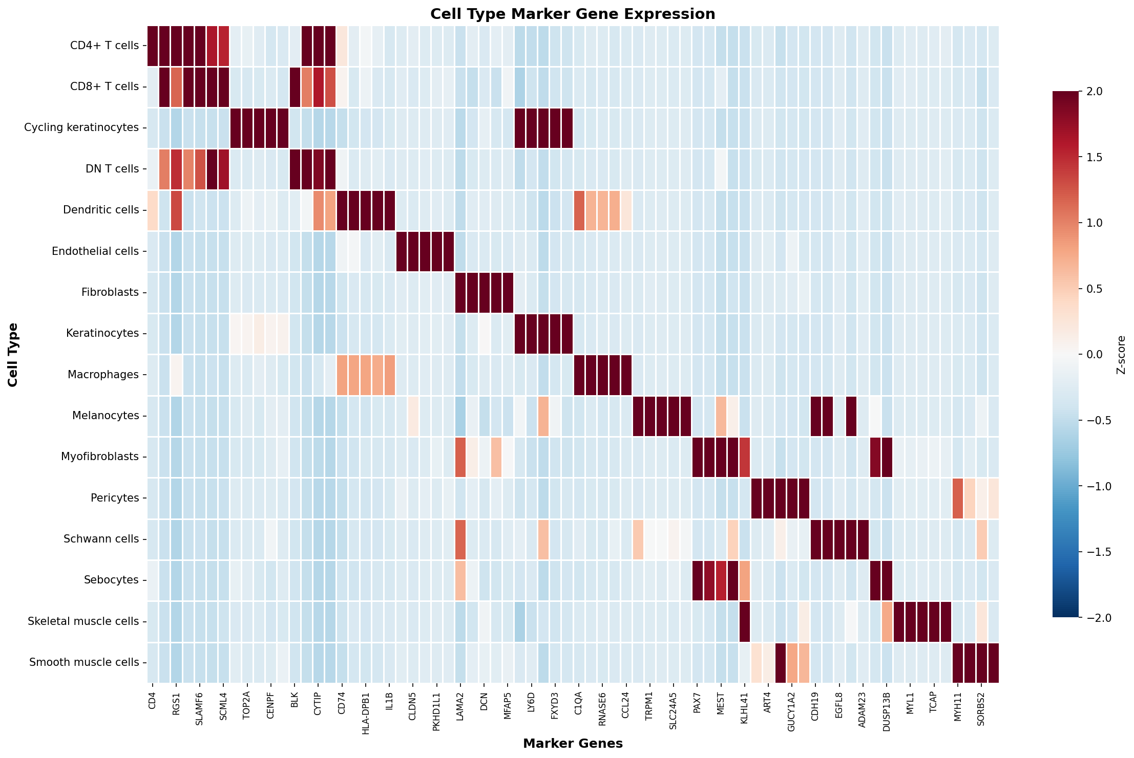 Marker Gene Heatmap