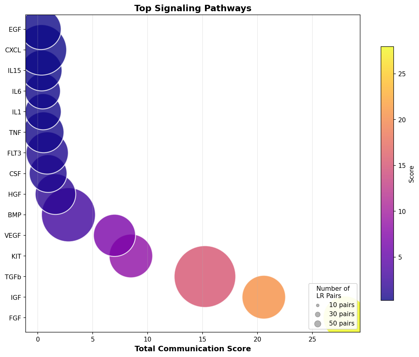 Signaling Pathway Activity