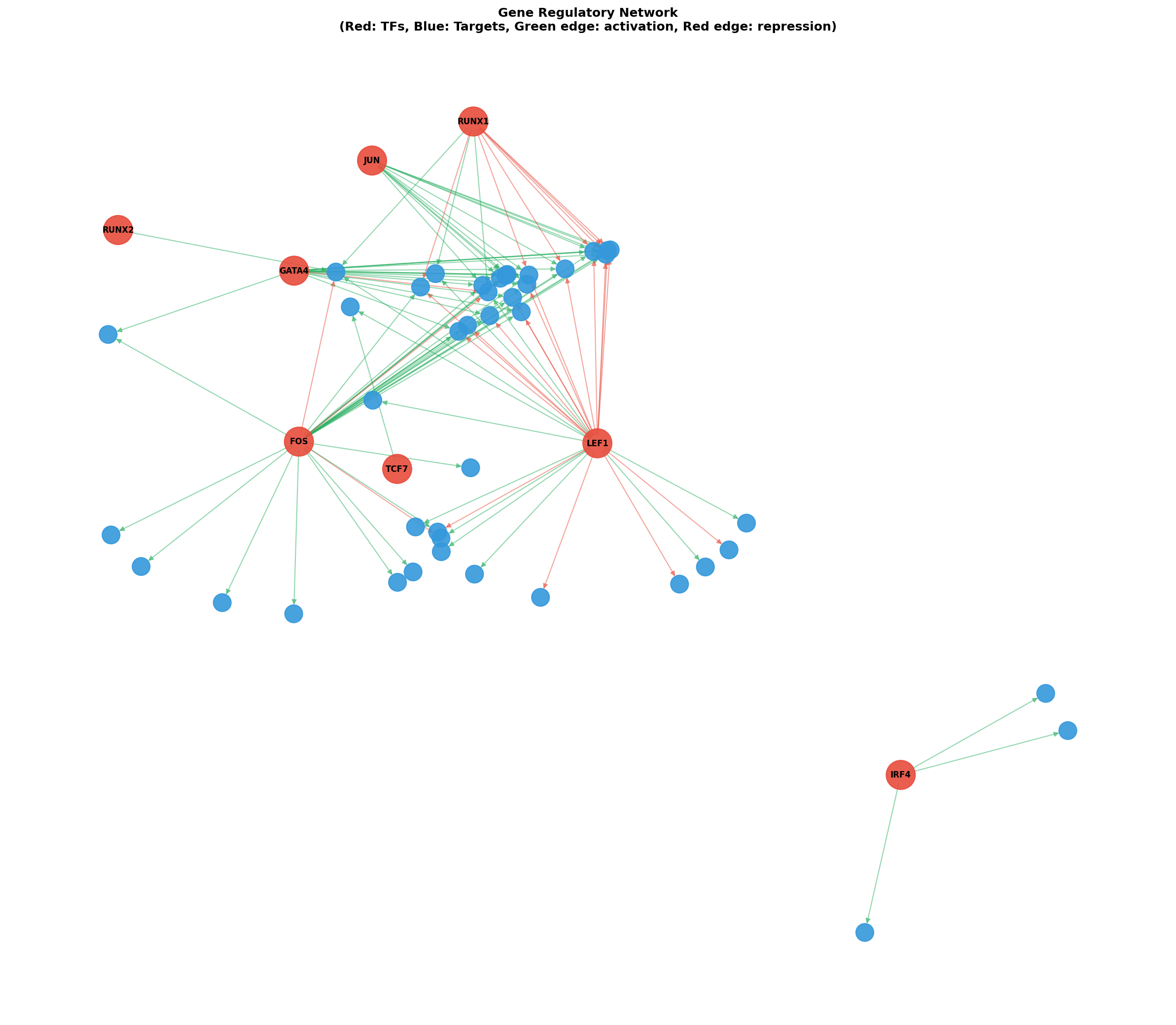Gene Regulatory Network