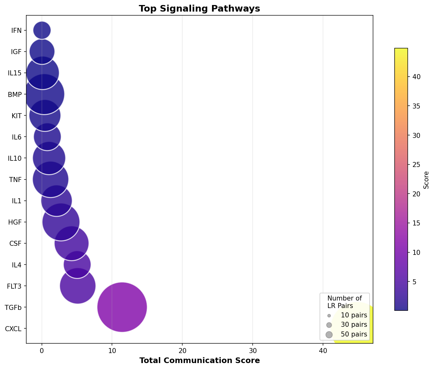 Signaling Pathway Activity