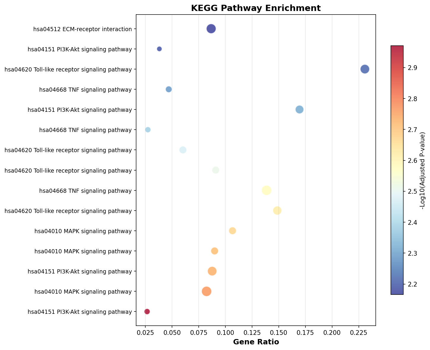 KEGG Enrichment