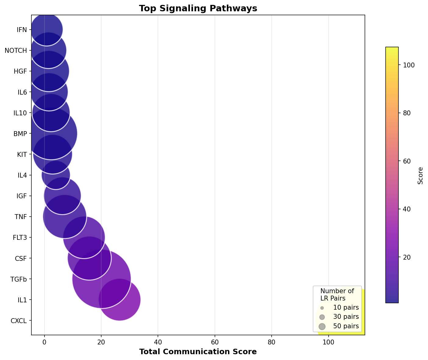 Signaling Pathway Activity