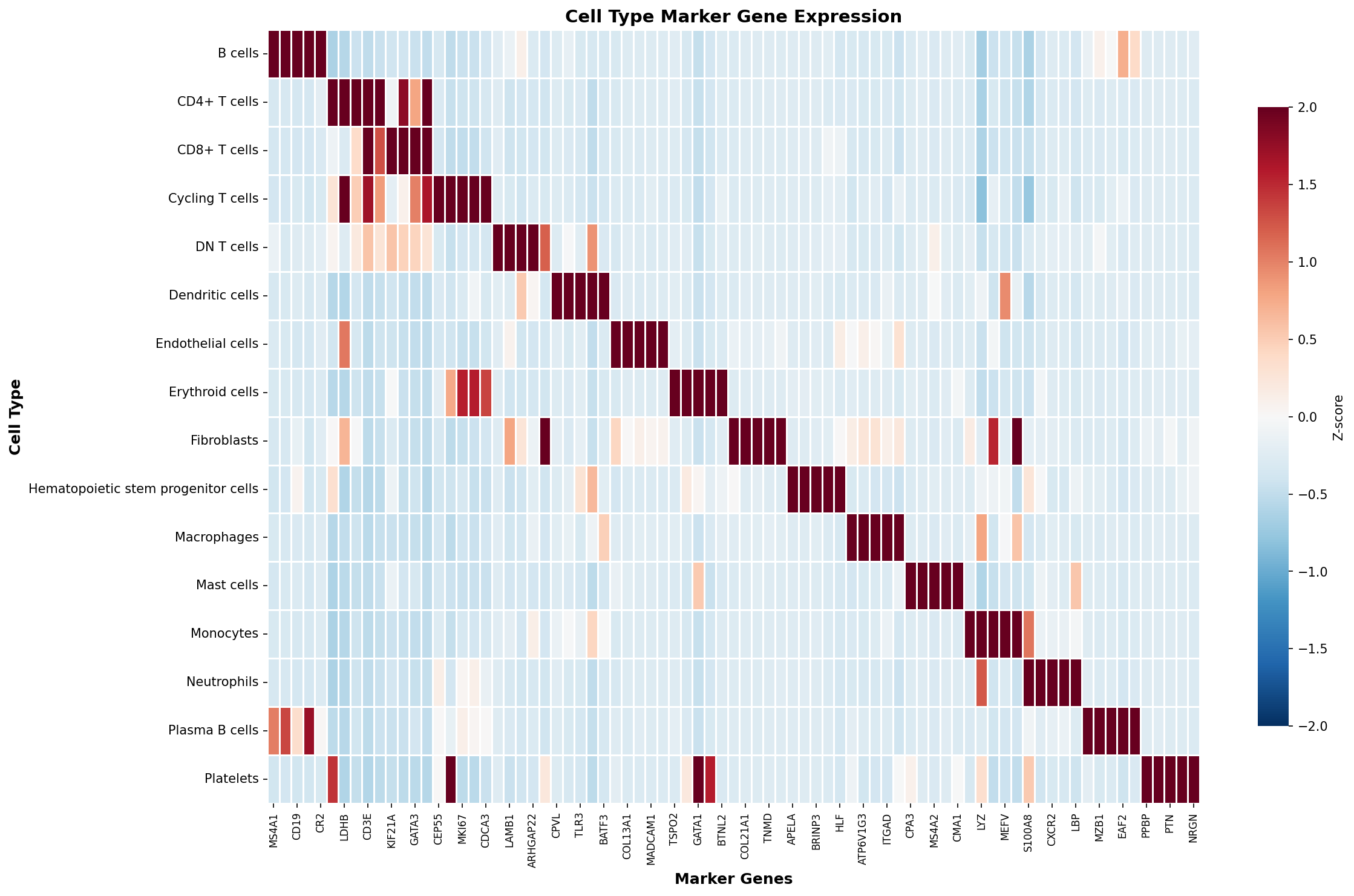 Marker Gene Heatmap