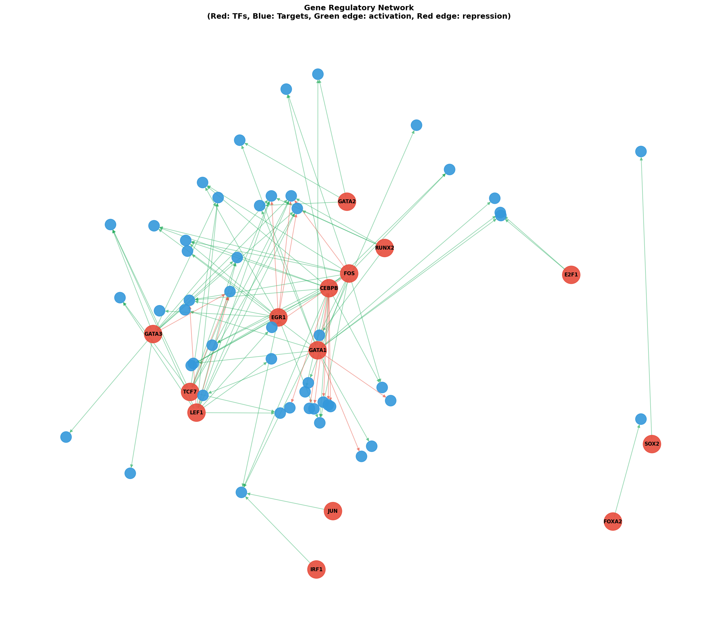 Gene Regulatory Network