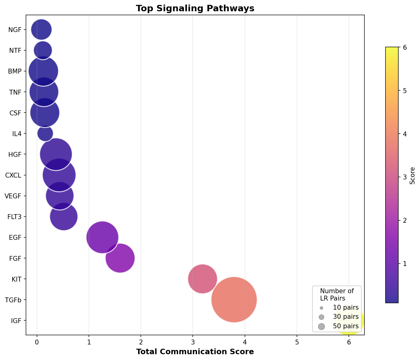 Signaling Pathway Activity