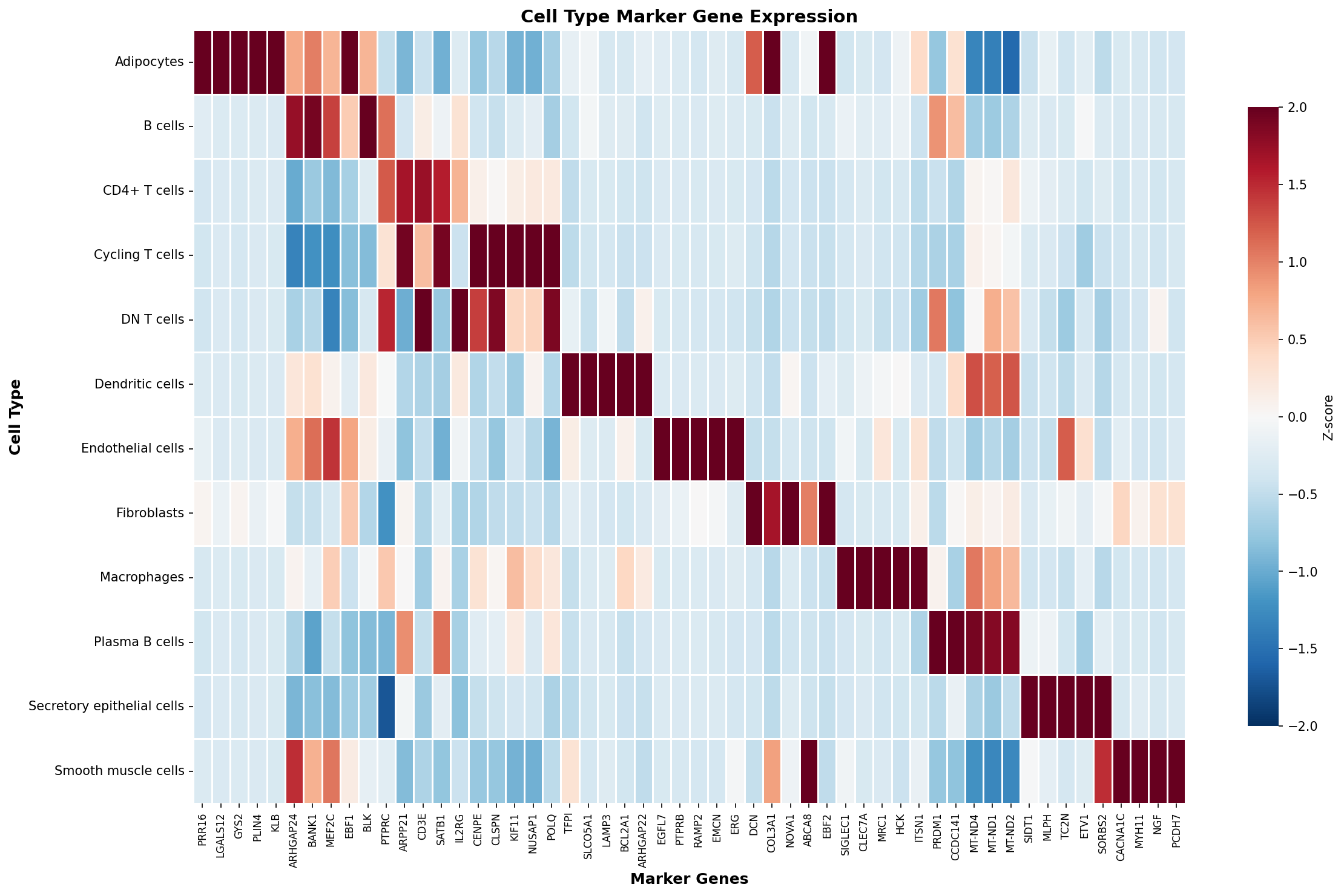 Marker Gene Heatmap