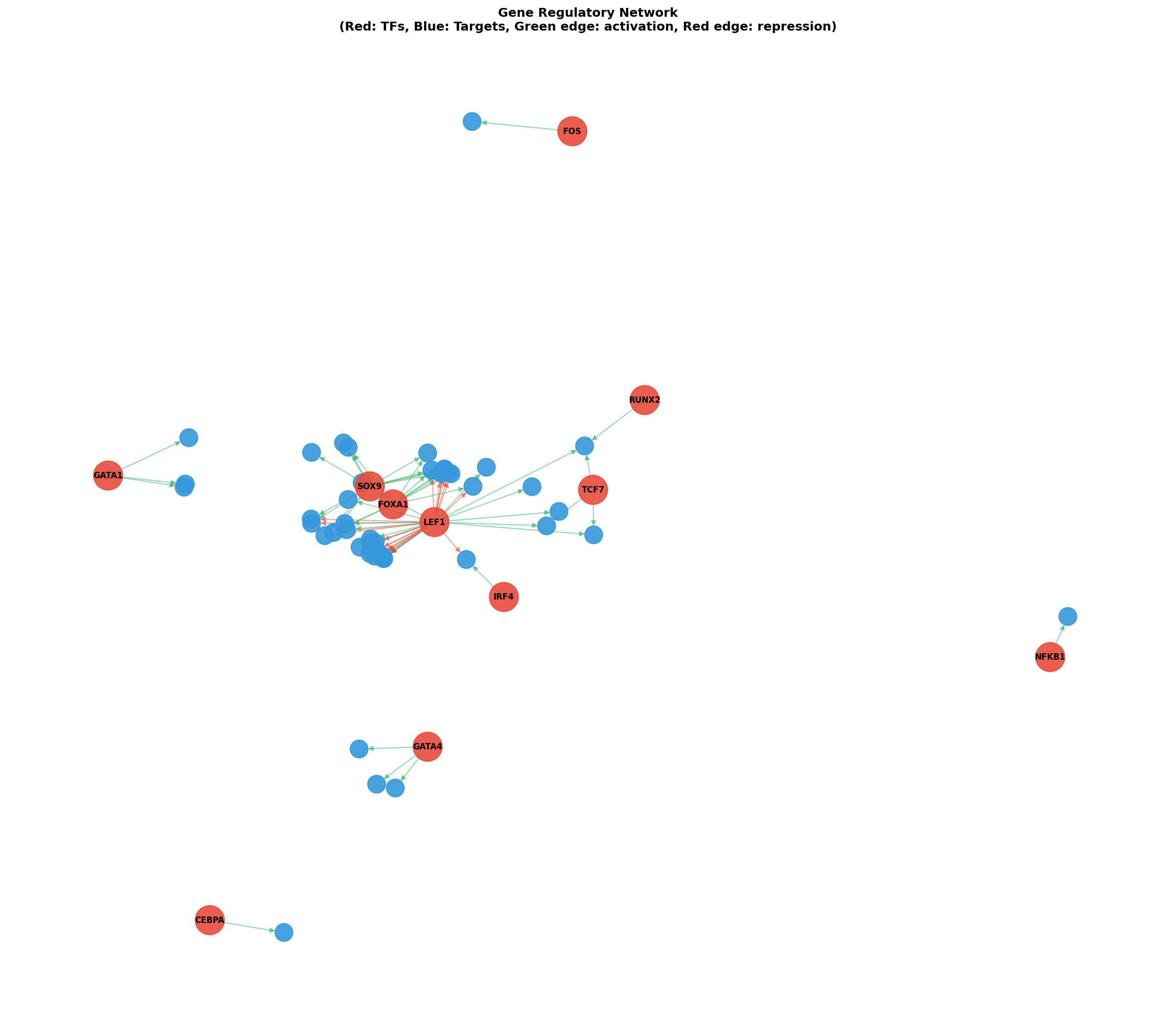 Gene Regulatory Network