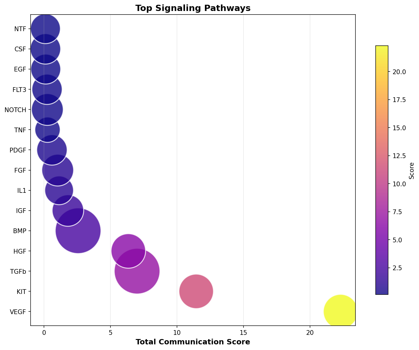 Signaling Pathway Activity