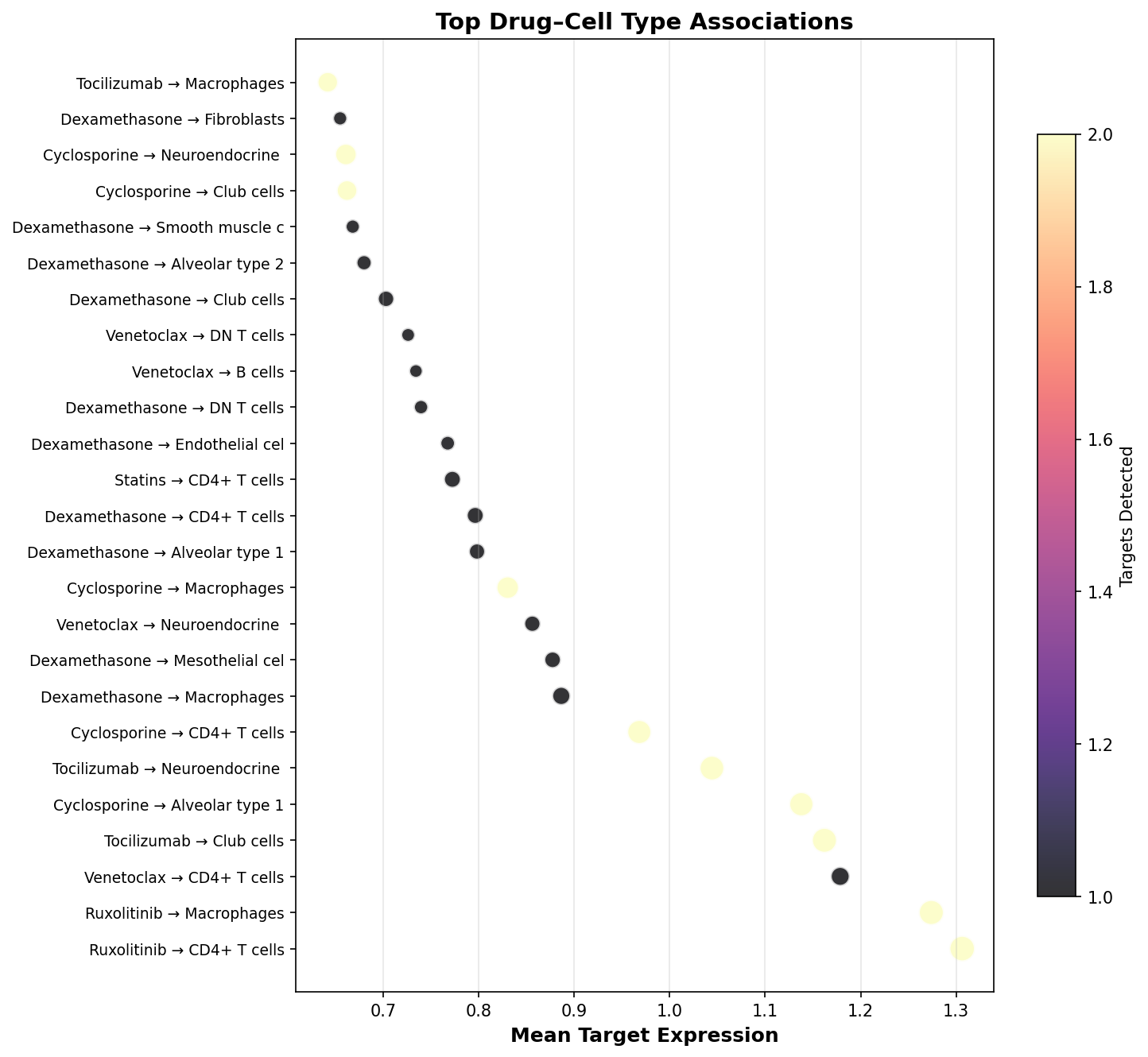 Top Drug–Cell Type Associations