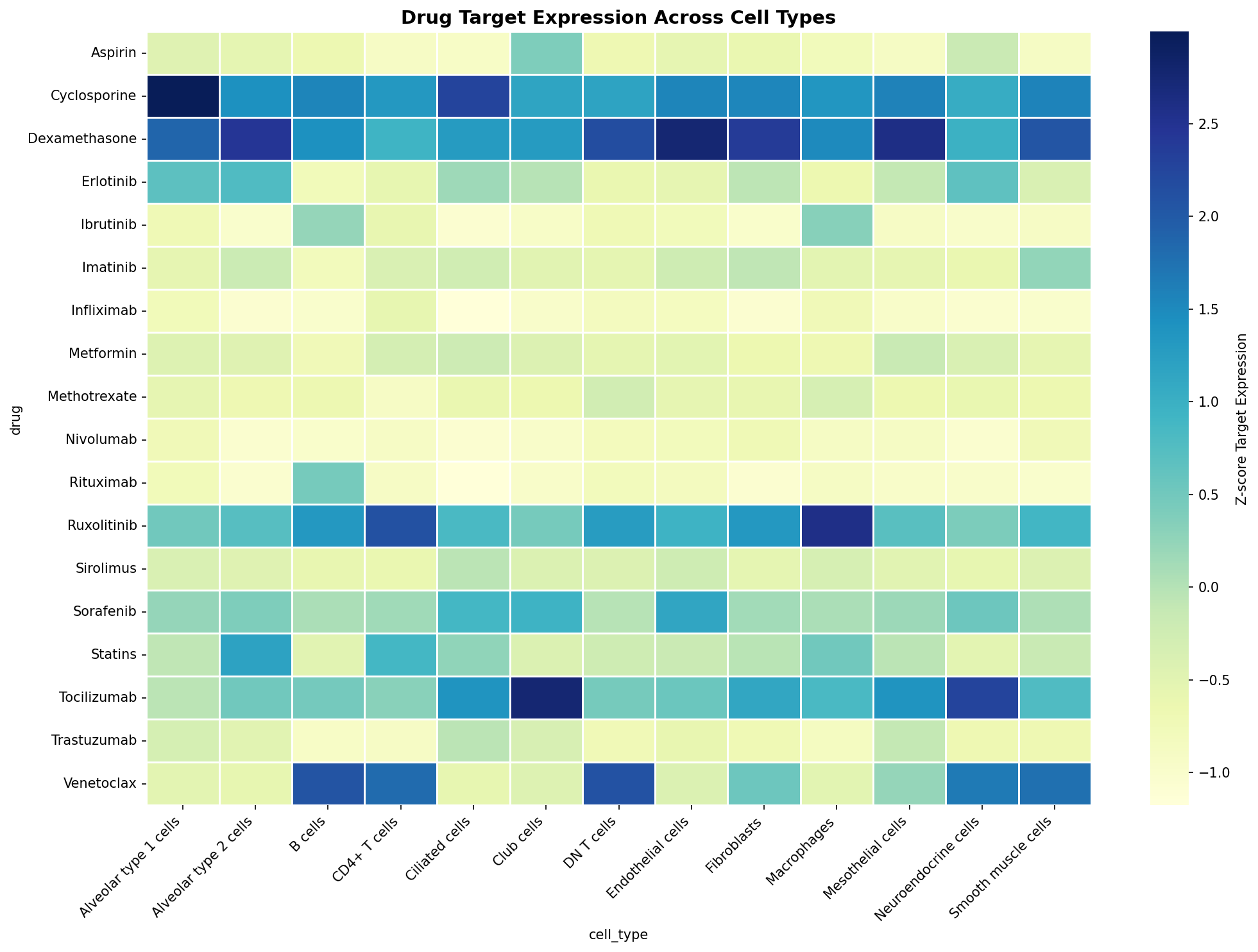 Drug Target Expression Heatmap