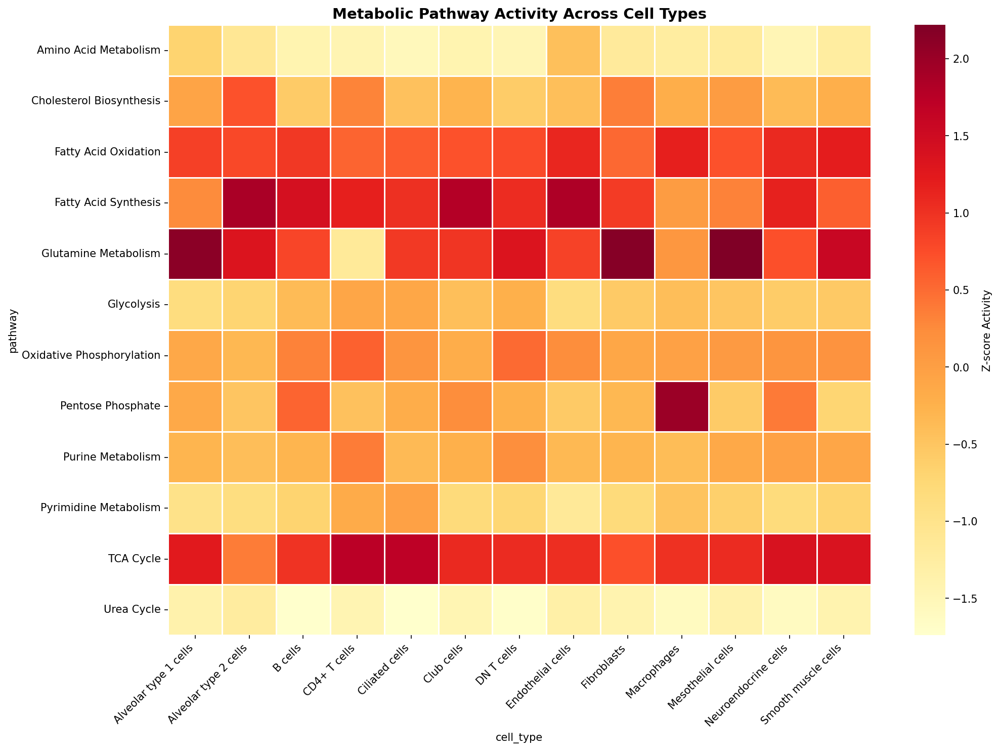 Metabolic Pathway Heatmap